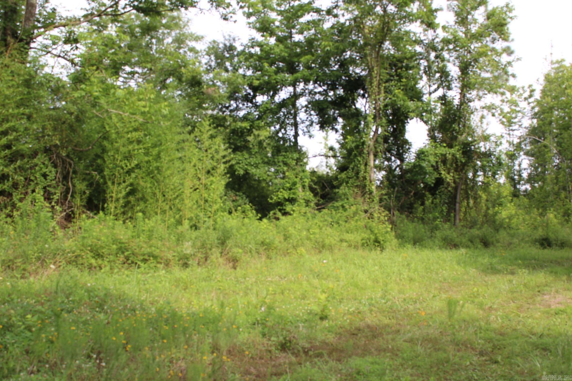 1442 Schaal  Mineral Sprs., AR