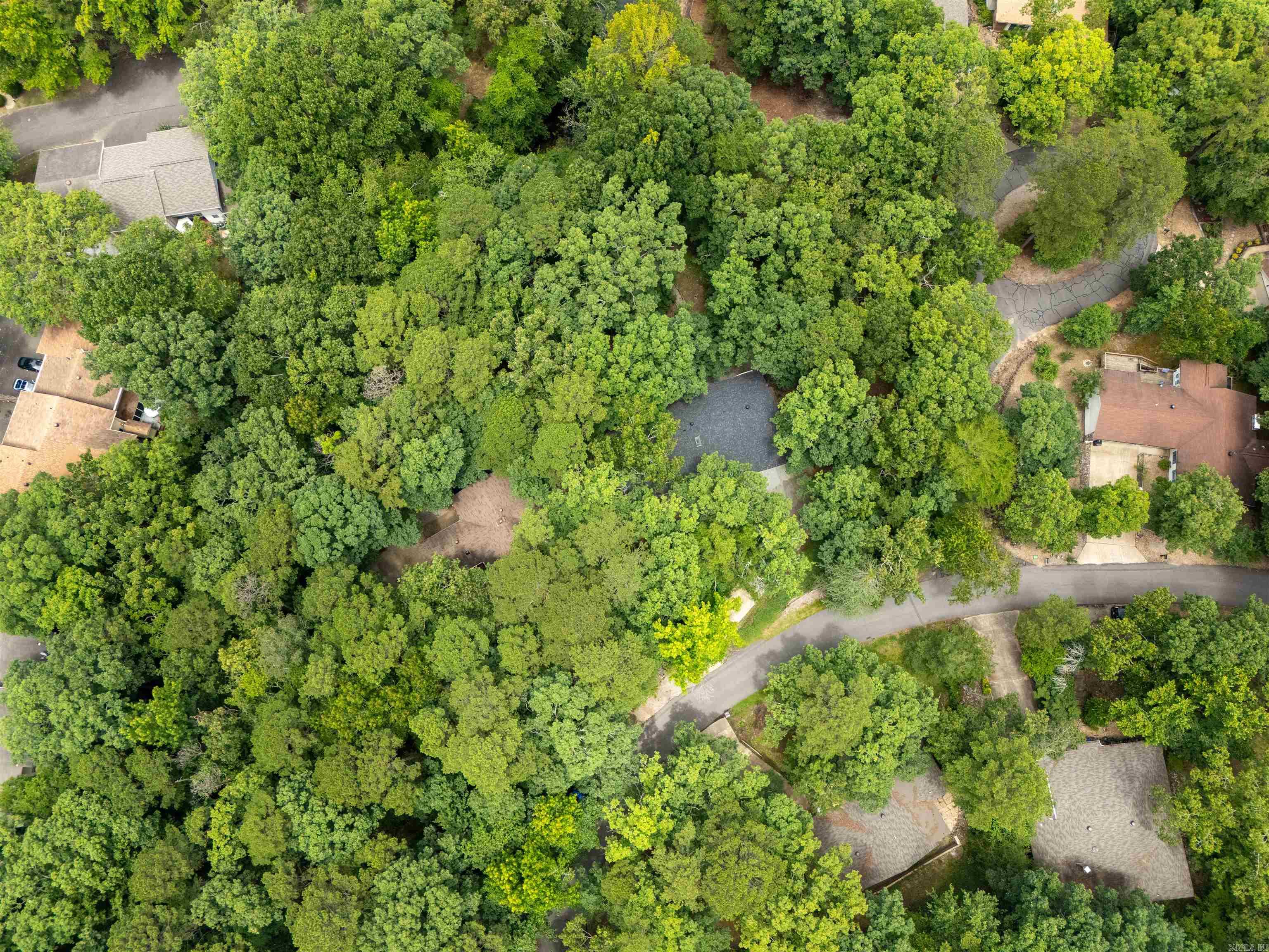 6 Castellon  Hot Springs Village, AR