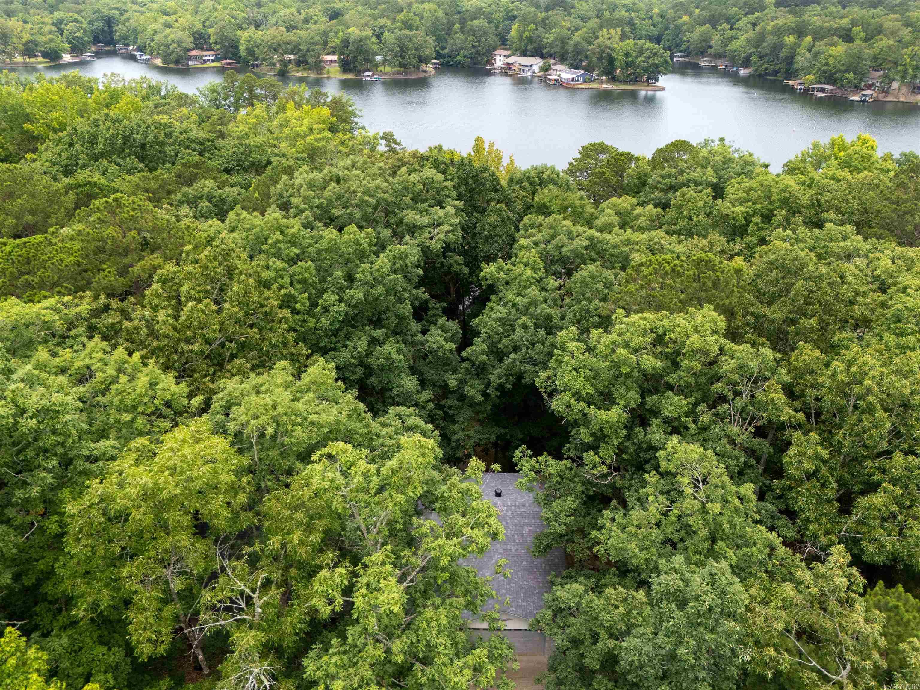 6 Castellon  Hot Springs Village, AR