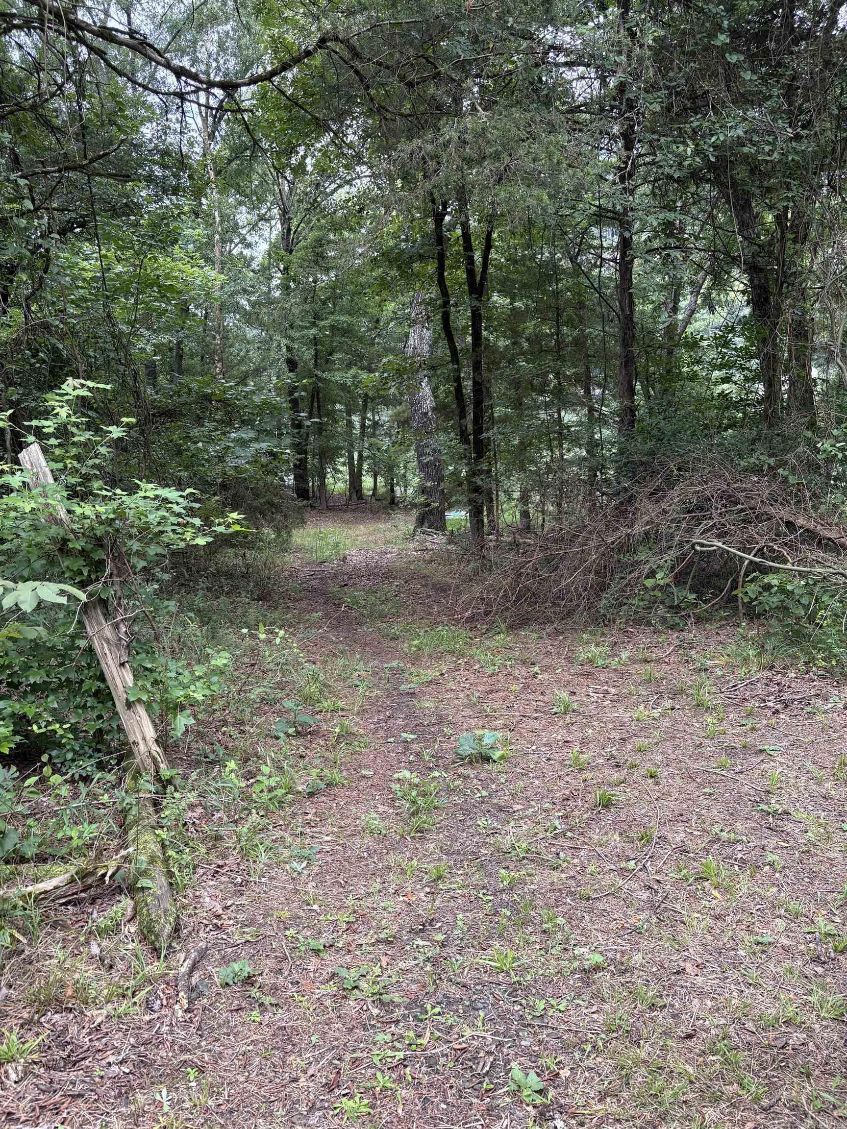 1464 PR 2704  London, AR