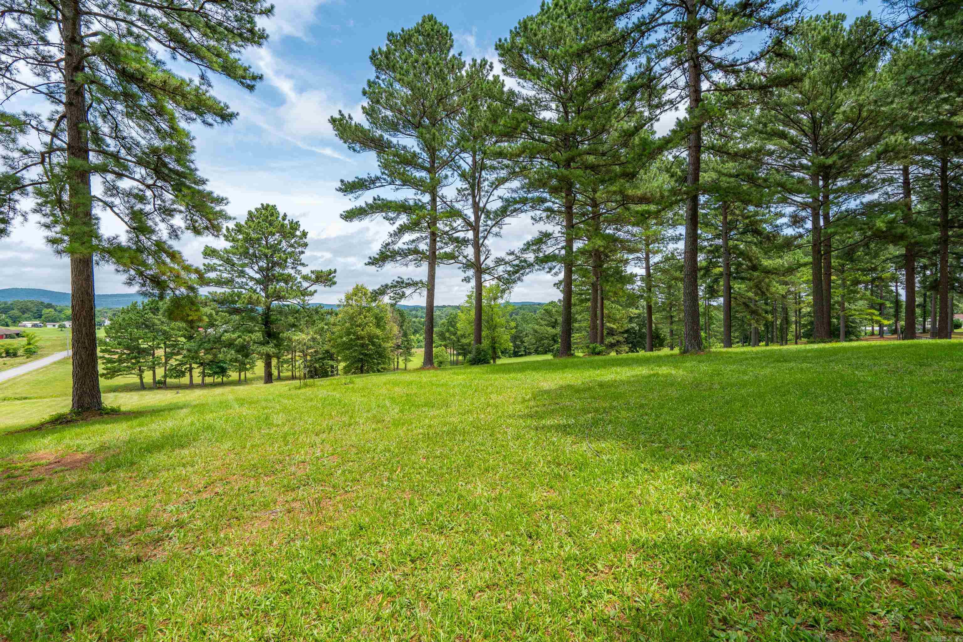 290 Mountain View  Bismarck, AR