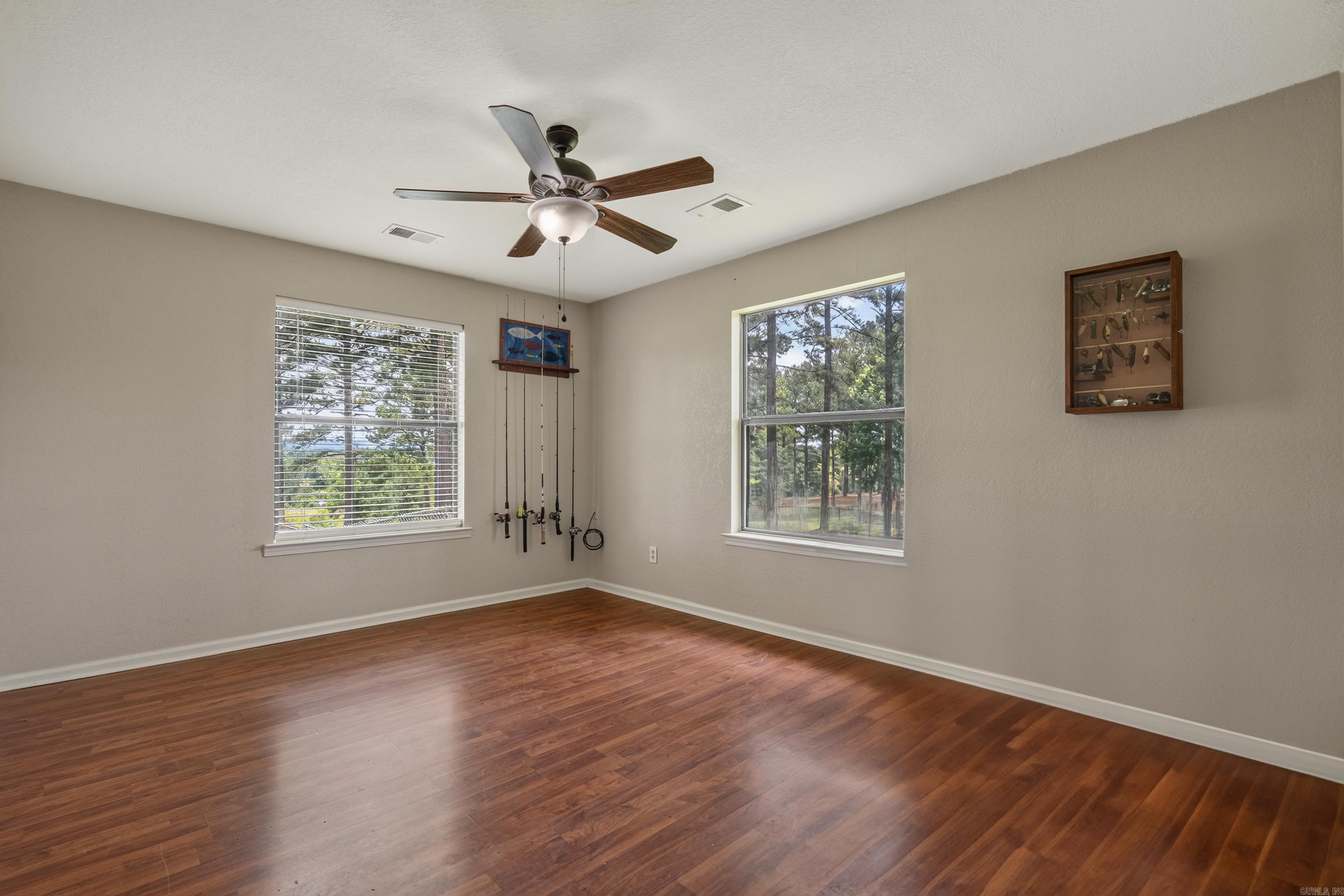 290 Mountain View  Bismarck, AR