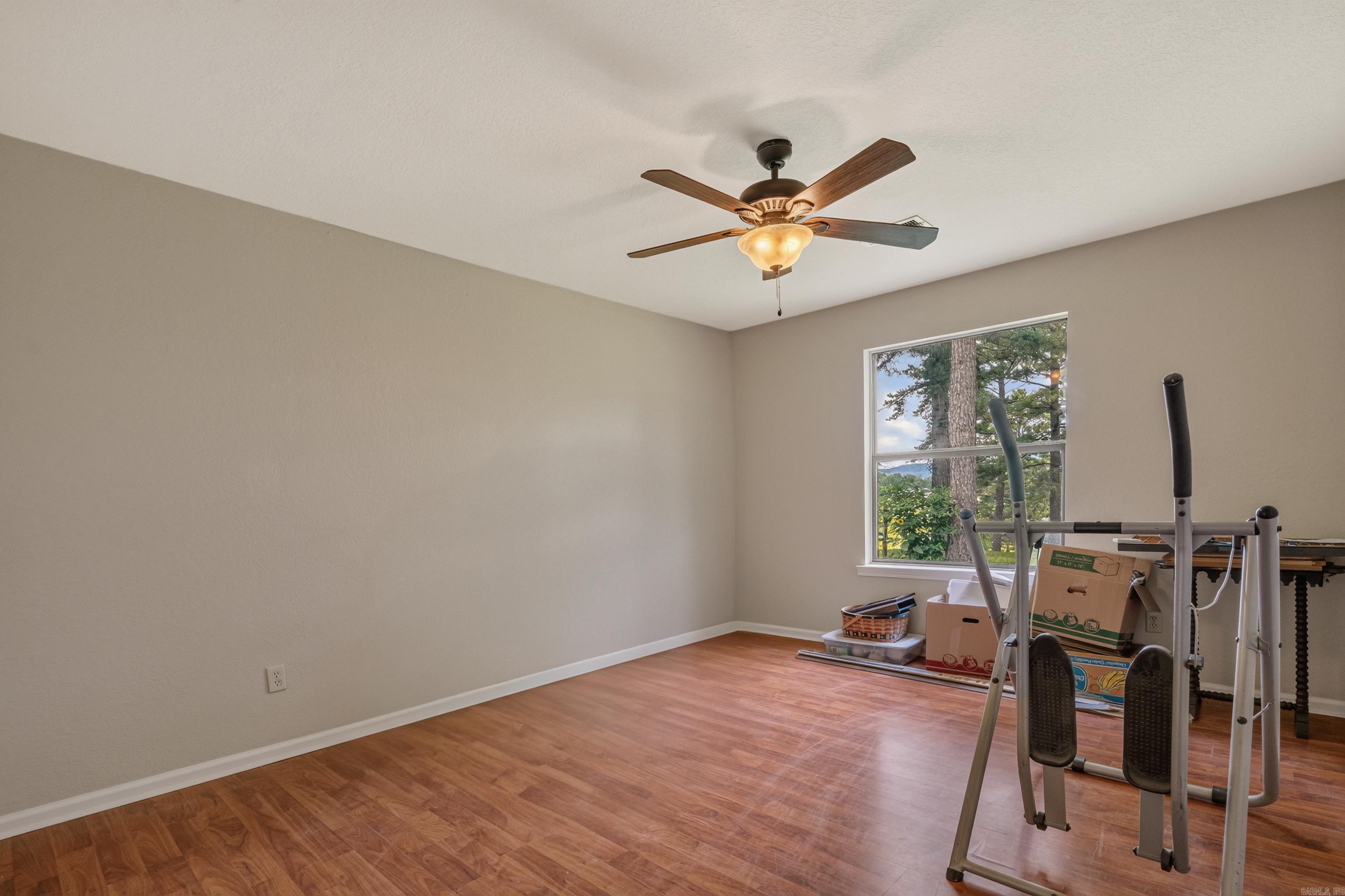 290 Mountain View  Bismarck, AR