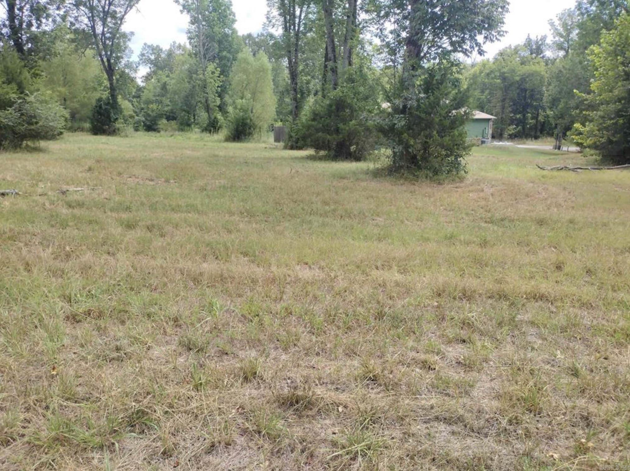 000 Frances Cove  Mountain View, AR