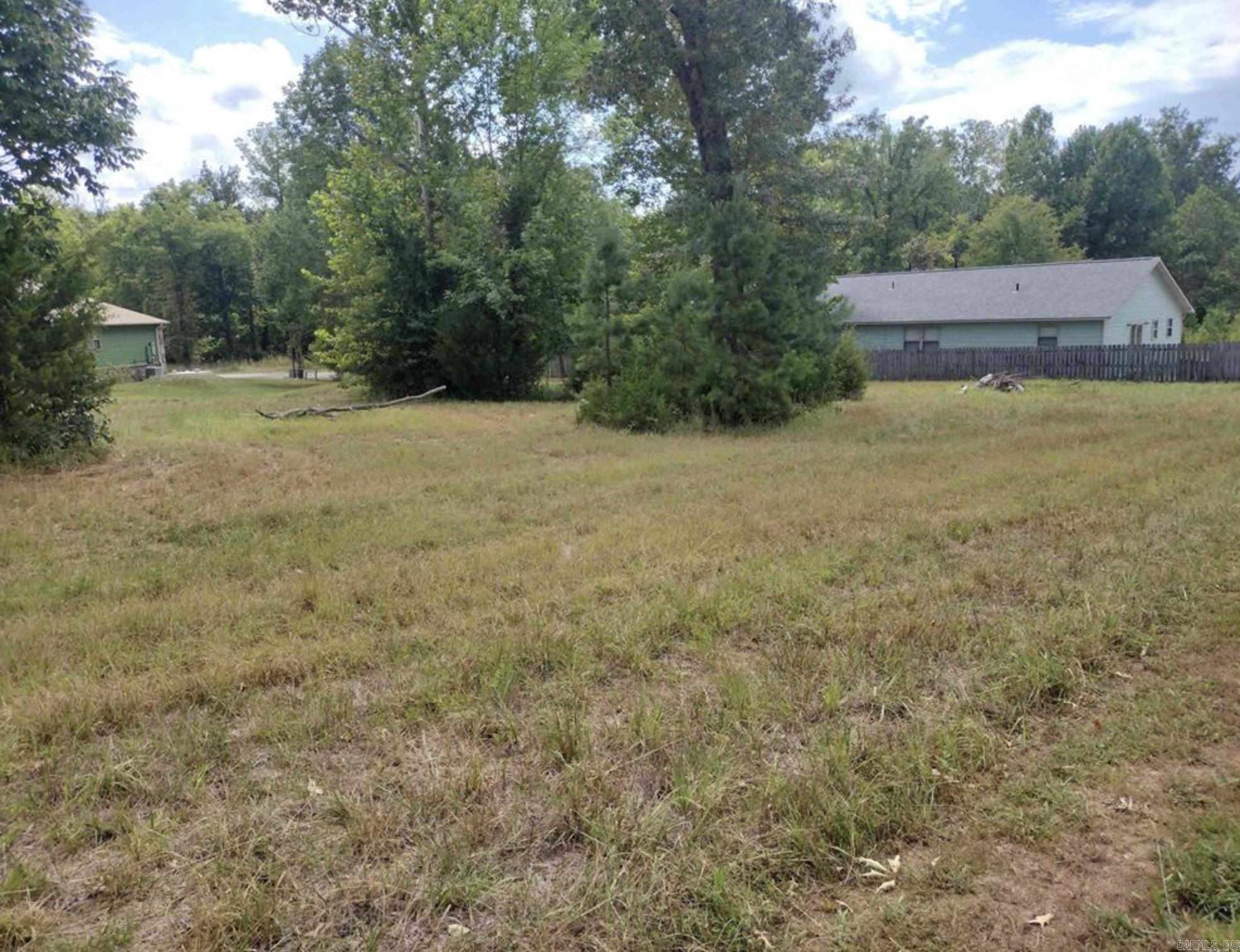 000 Frances Cove  Mountain View, AR