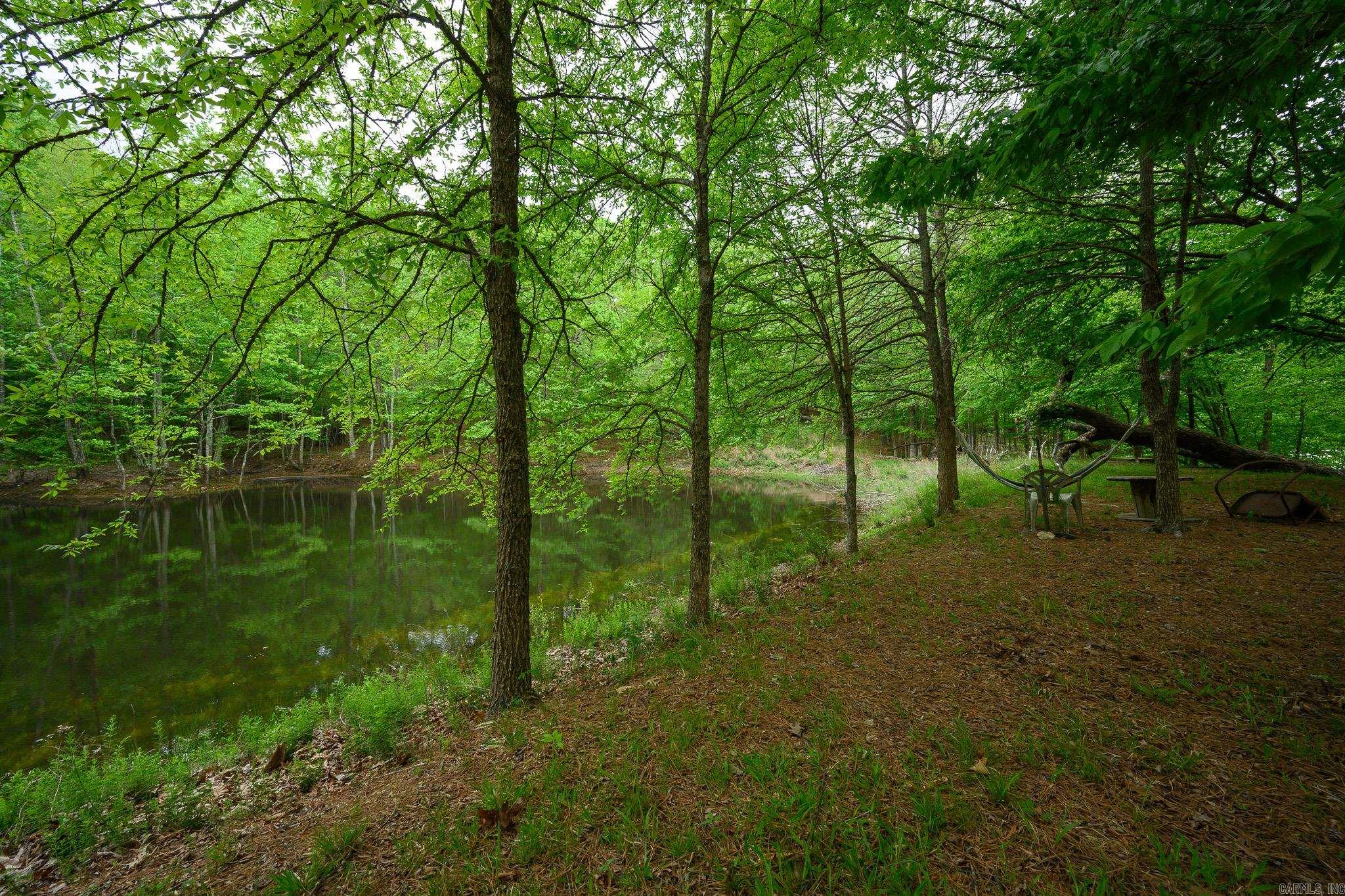 654 Polk Road 42  Mena, AR