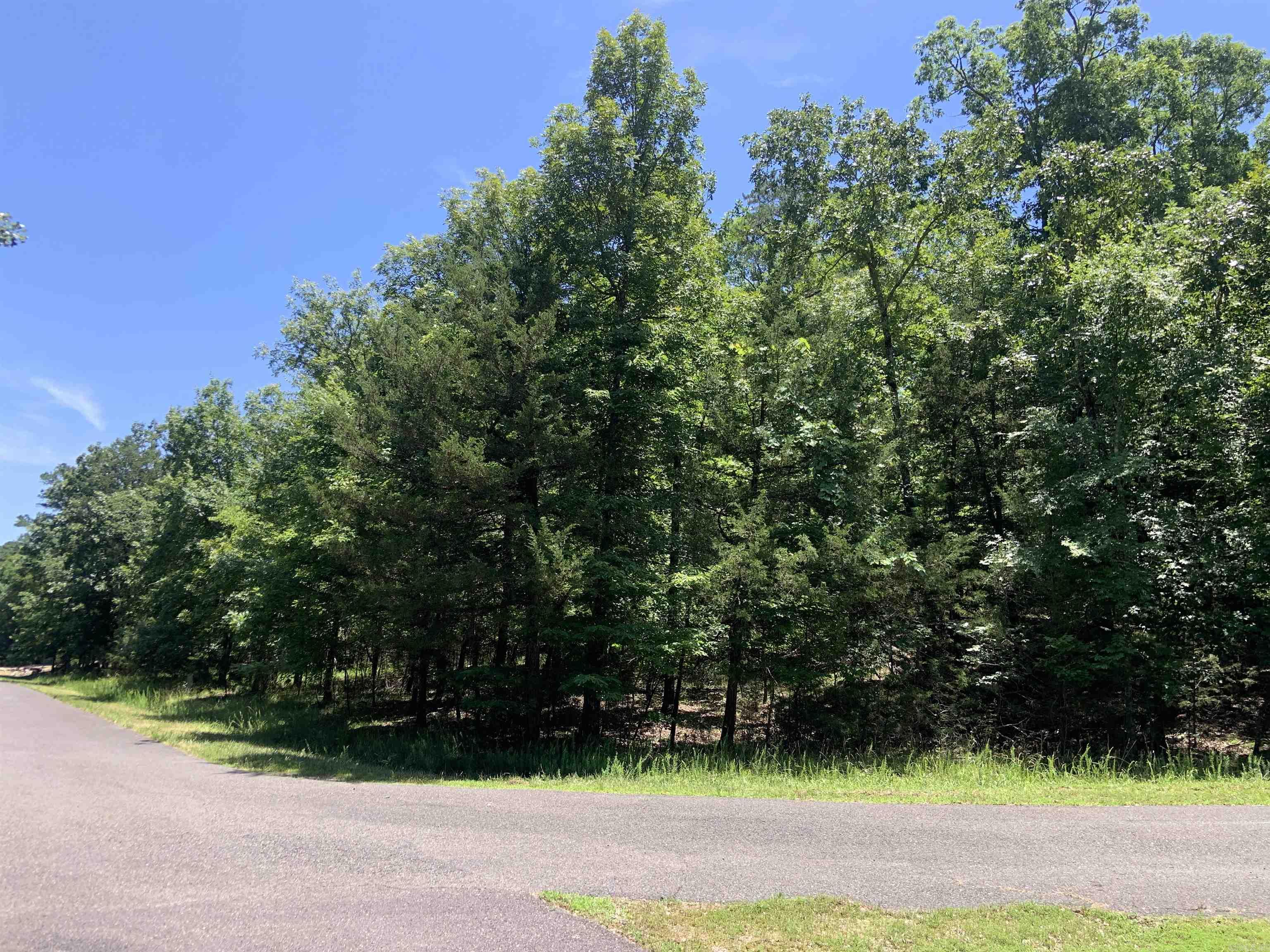 19 Campeon Ln  Hot Springs Village, AR
