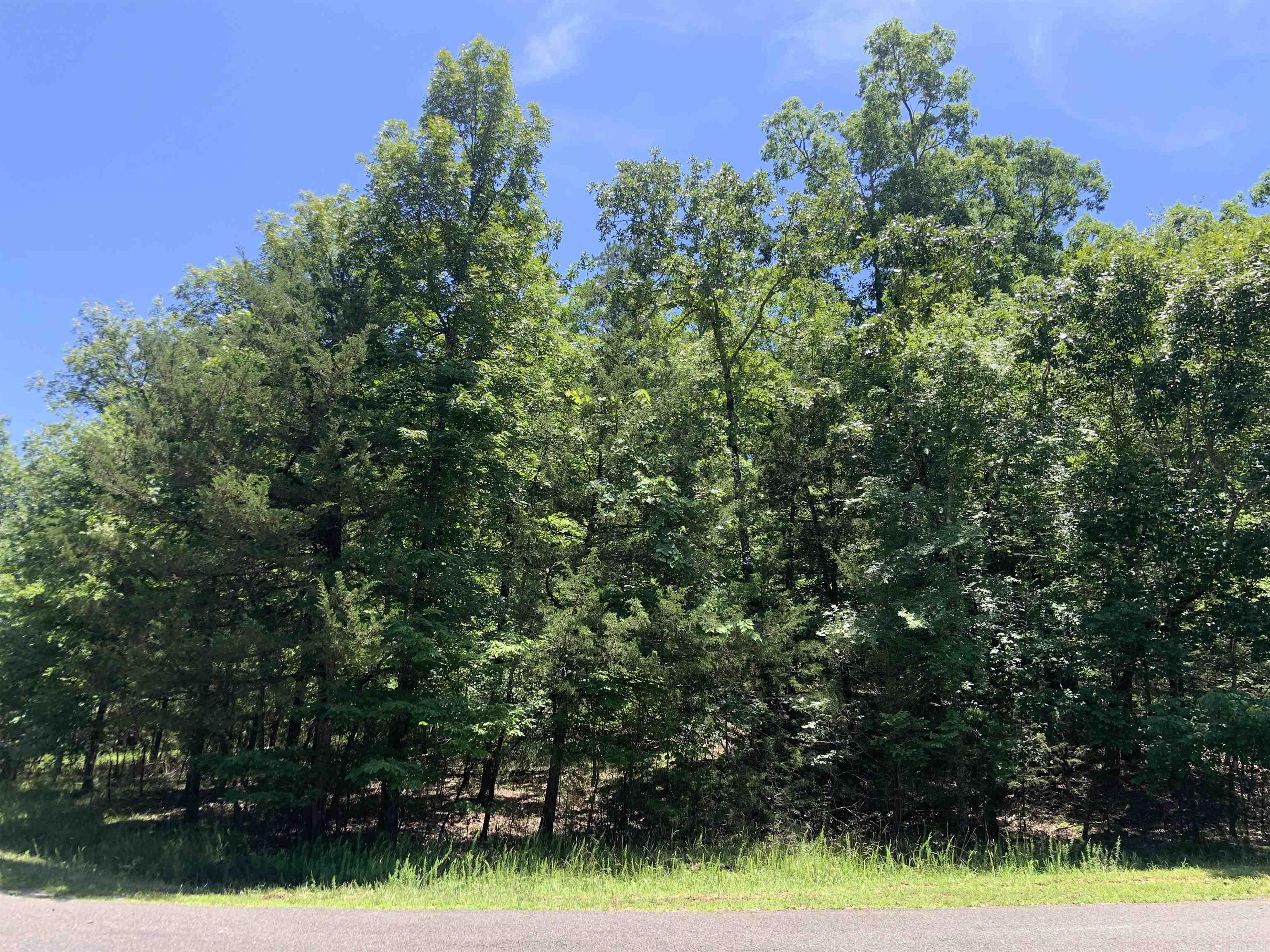 19 Campeon Ln  Hot Springs Village, AR