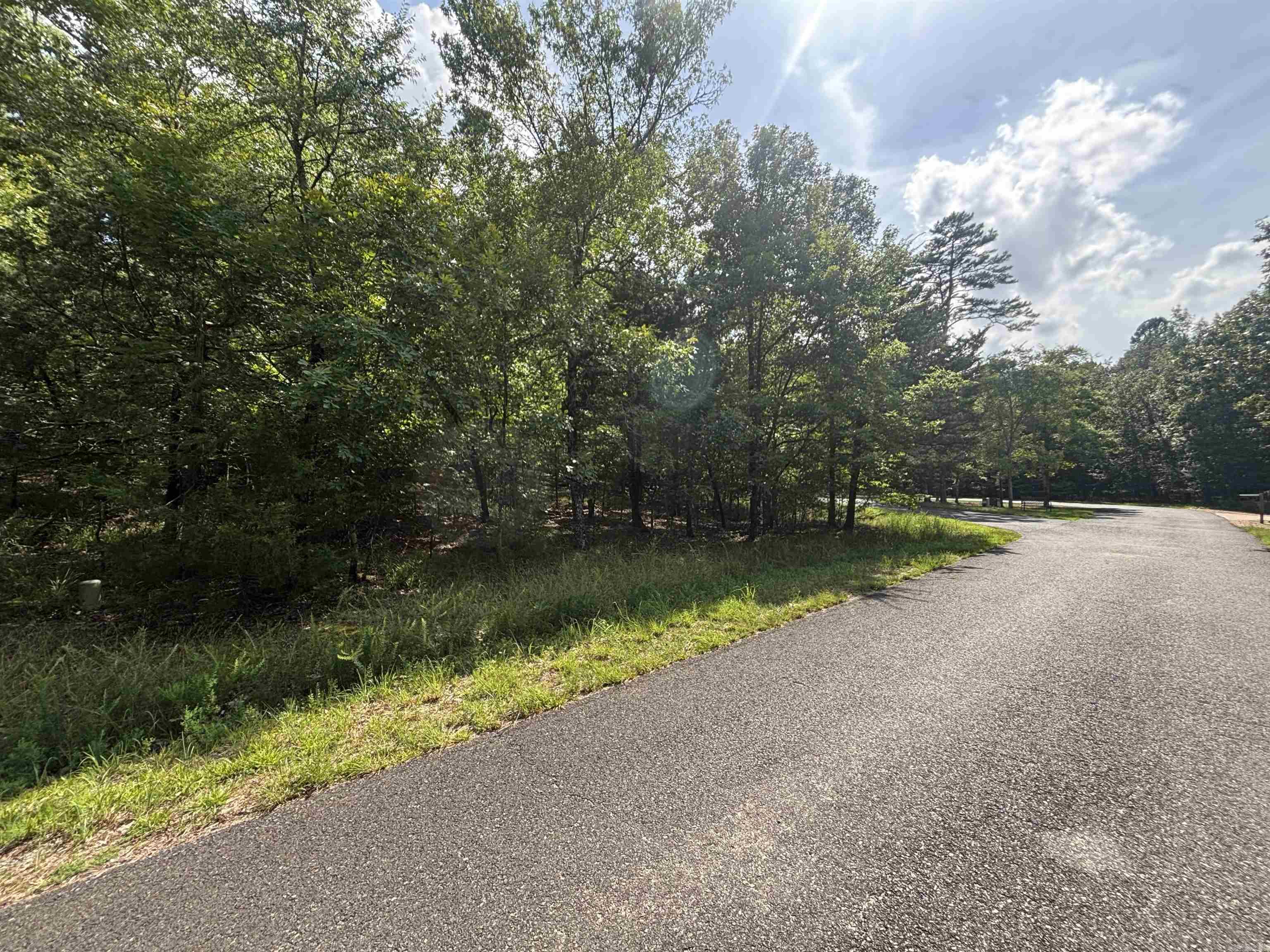 19 Campeon Ln  Hot Springs Village, AR