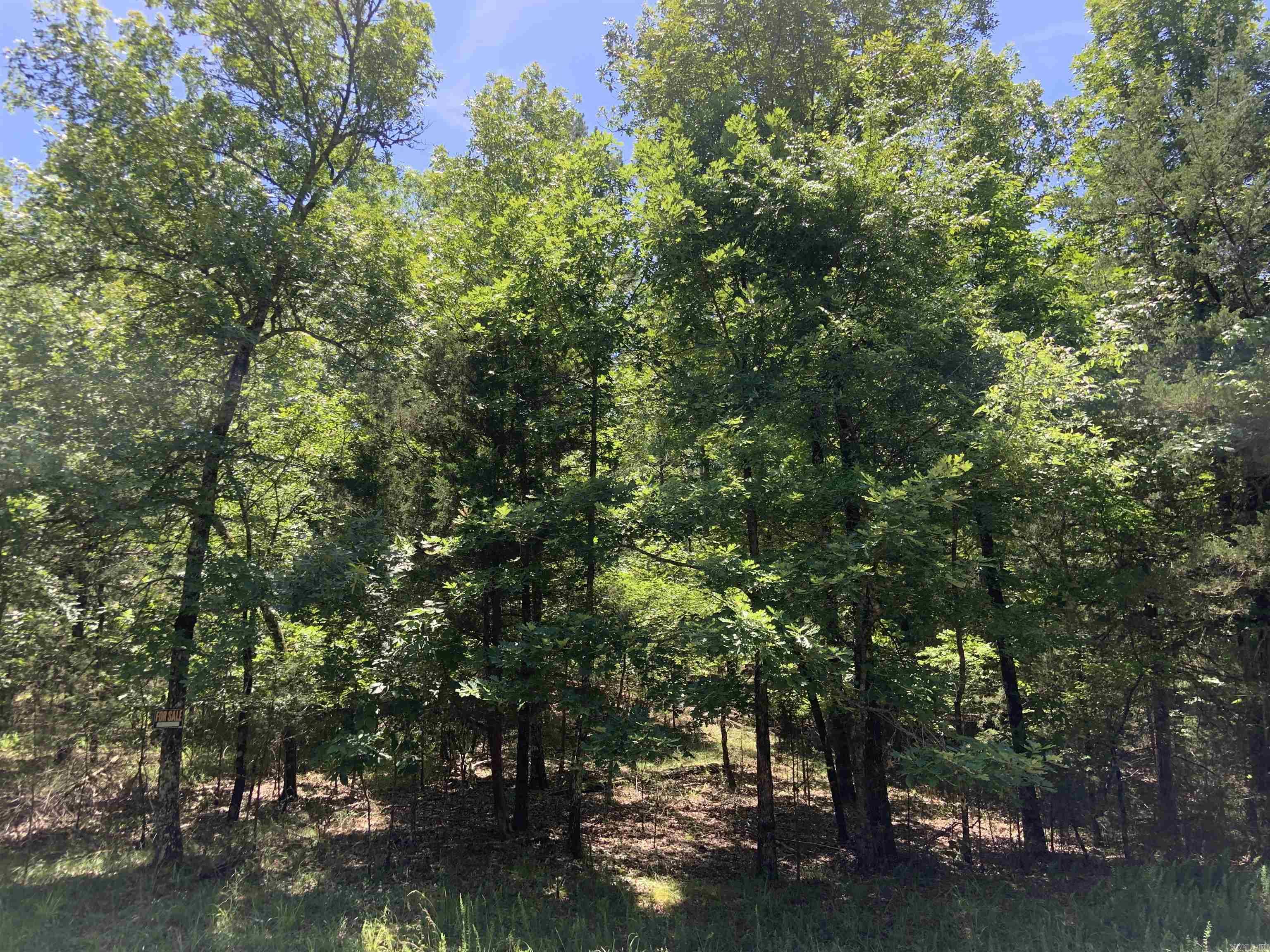 19 Campeon Ln  Hot Springs Village, AR