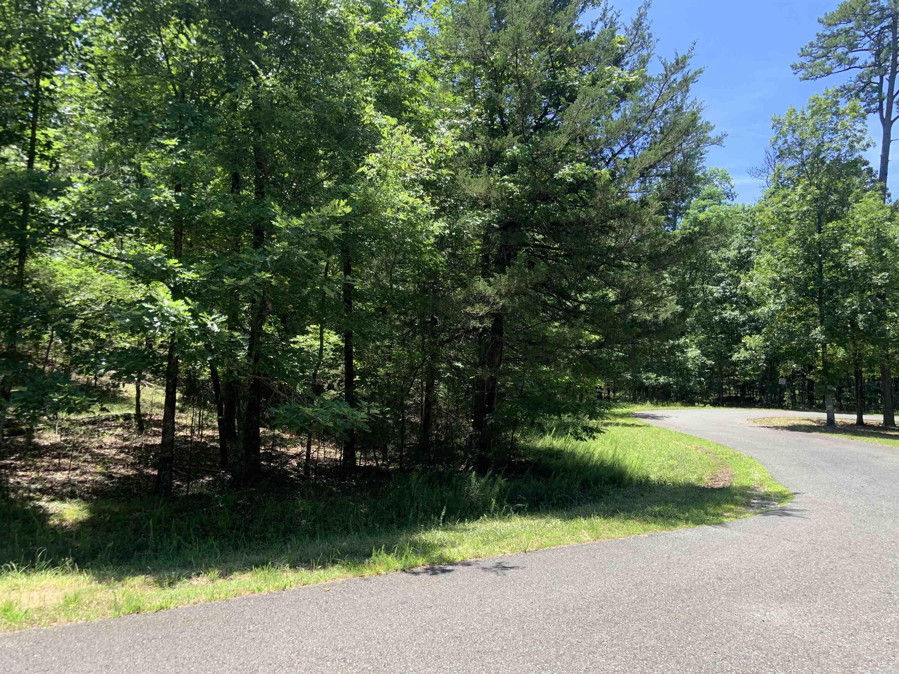 19 Campeon Ln  Hot Springs Village, AR