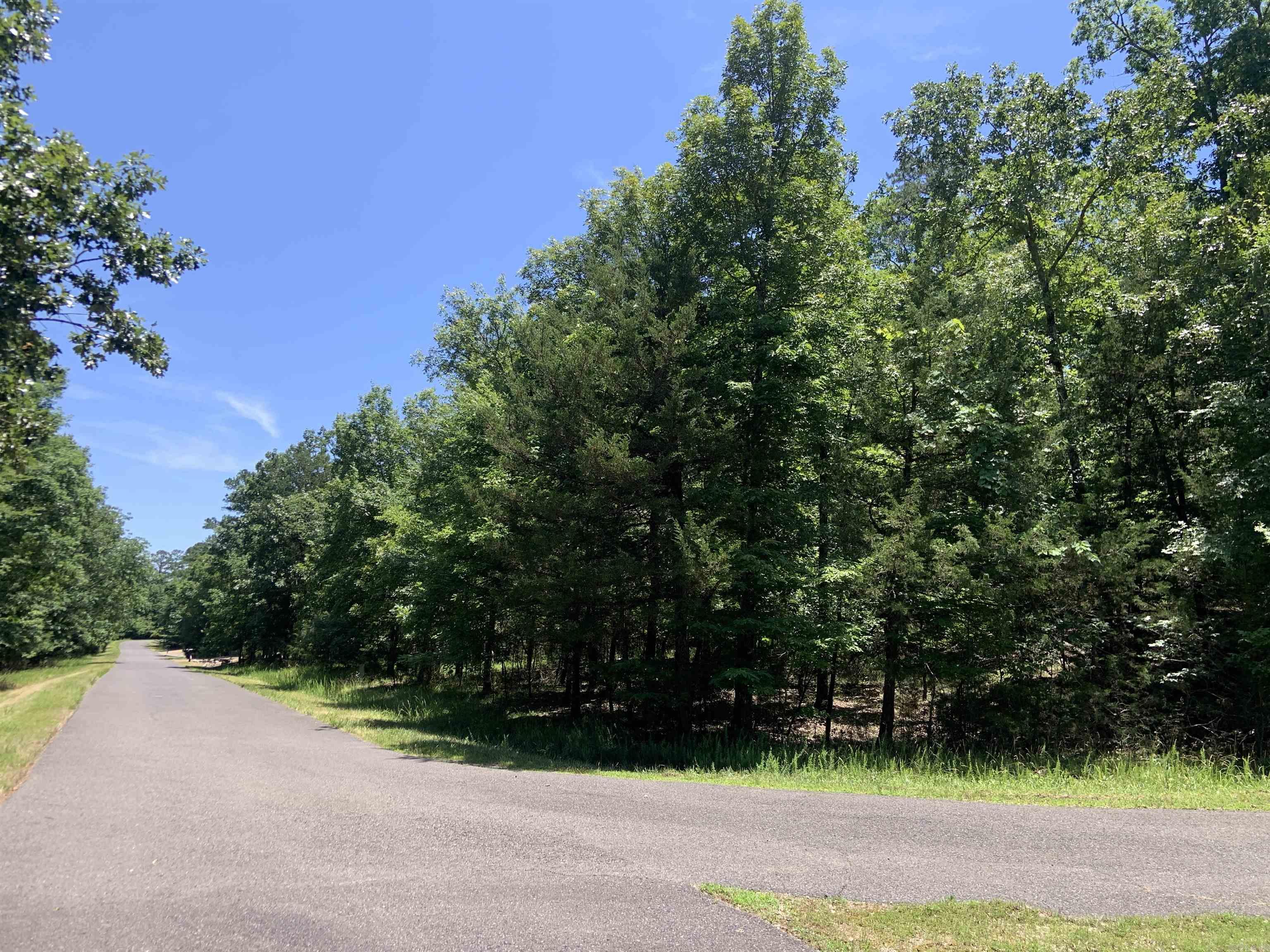 19 Campeon Ln  Hot Springs Village, AR