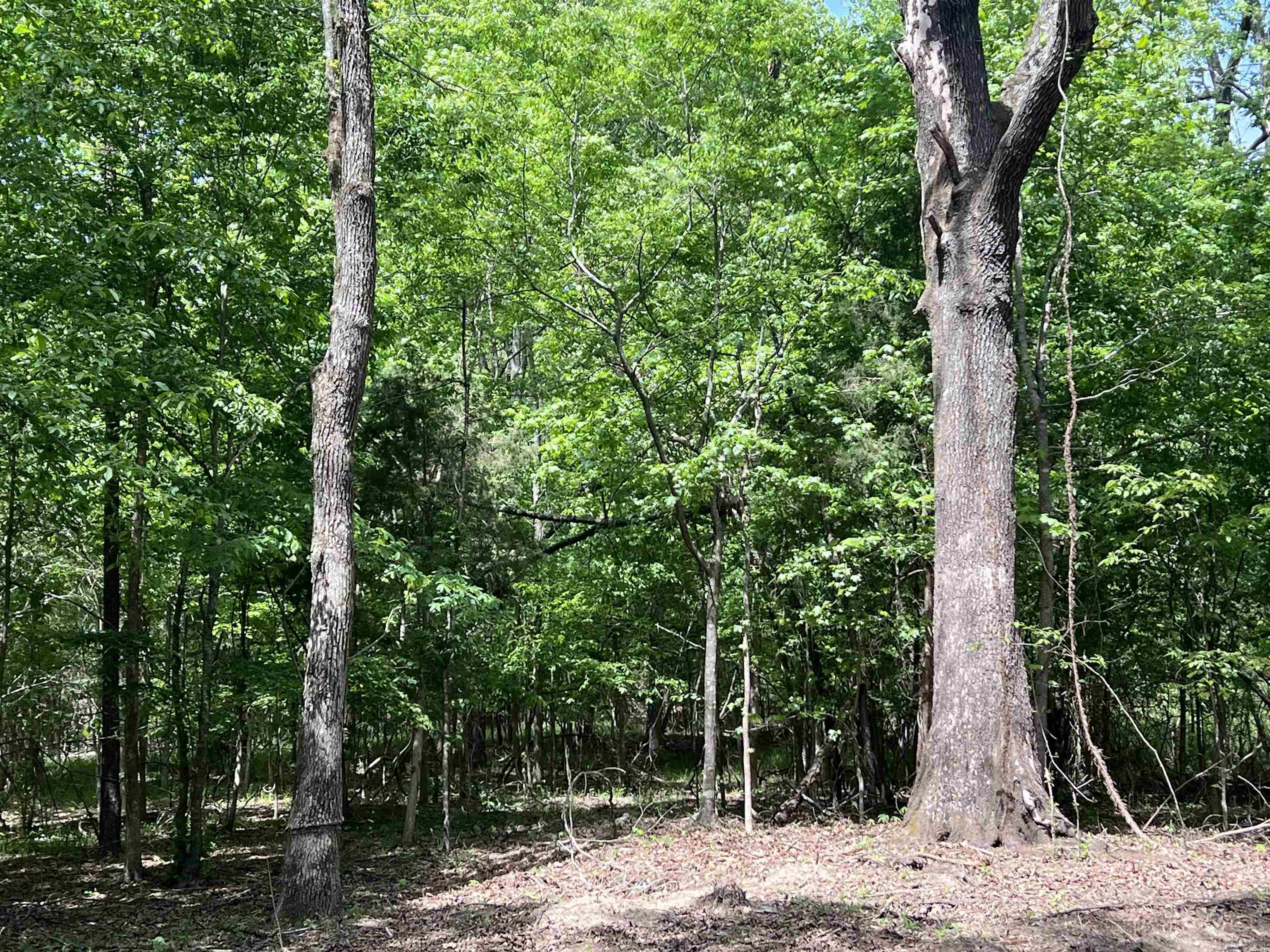 0 Kanis Road  Paron, AR