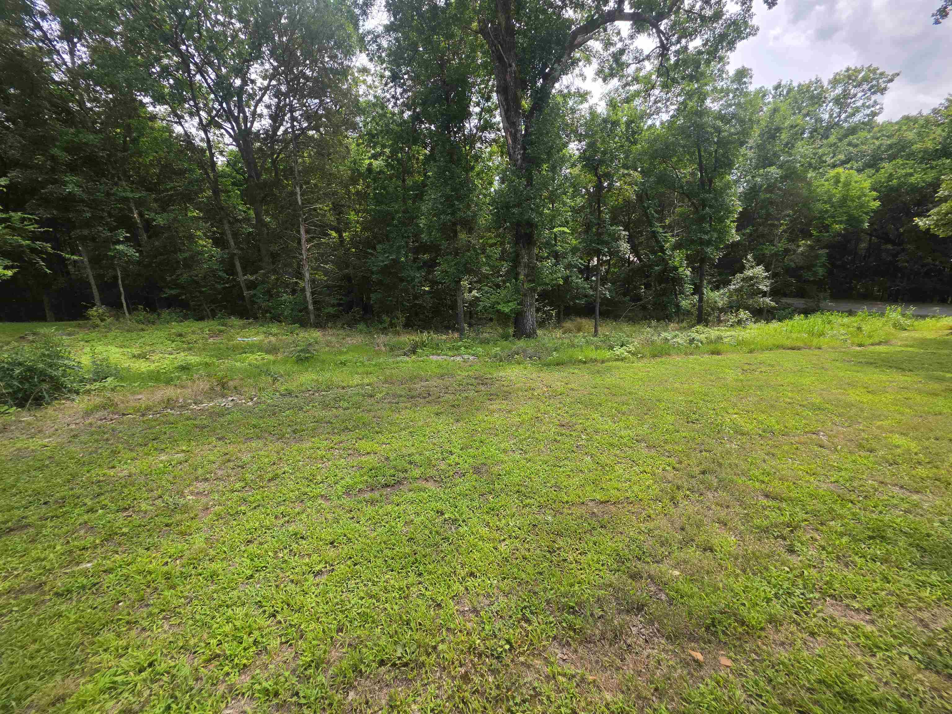 167 Cherokee  Cherokee Village, AR
