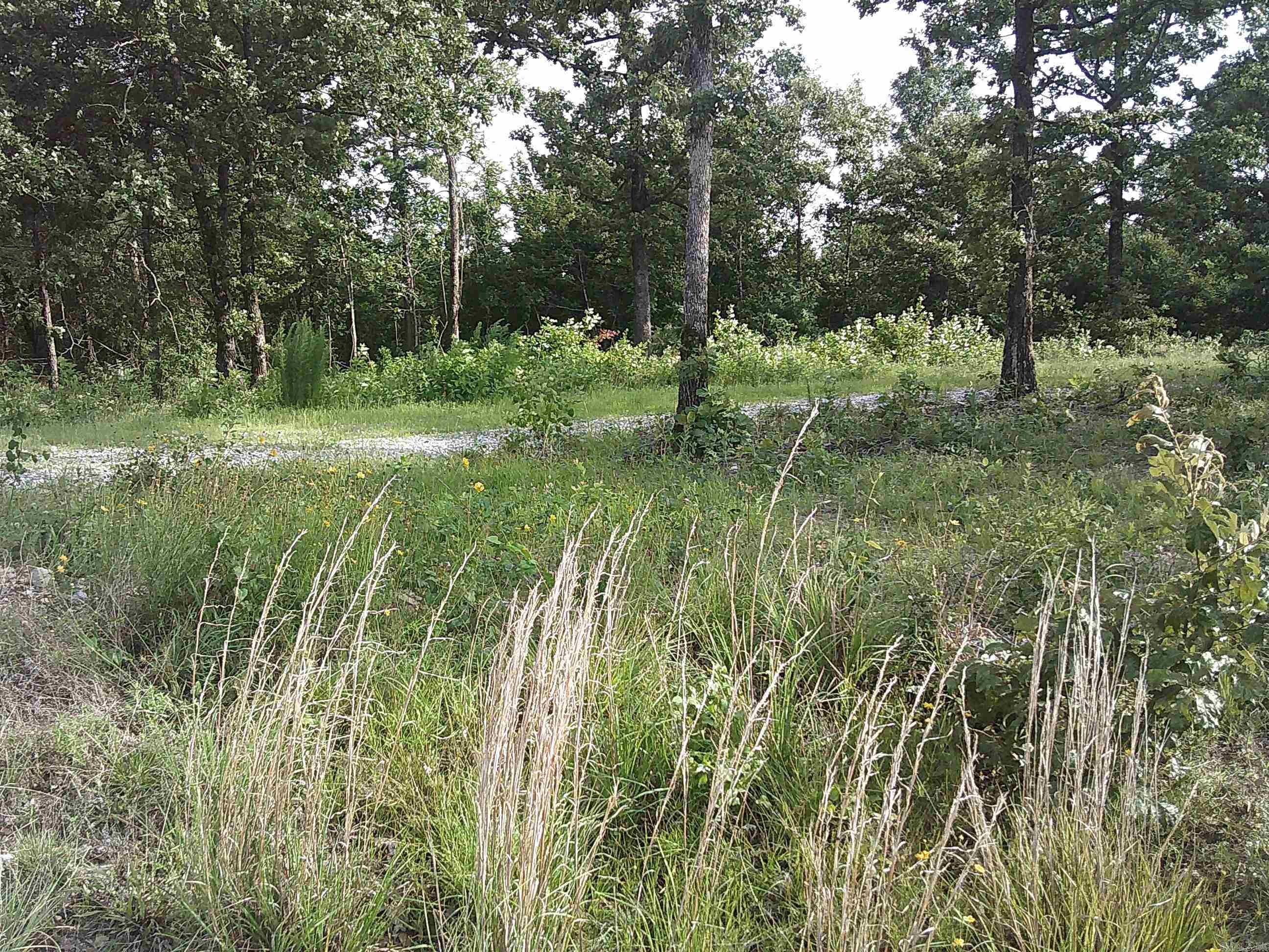 786 Lost Creek  Pearcy, AR