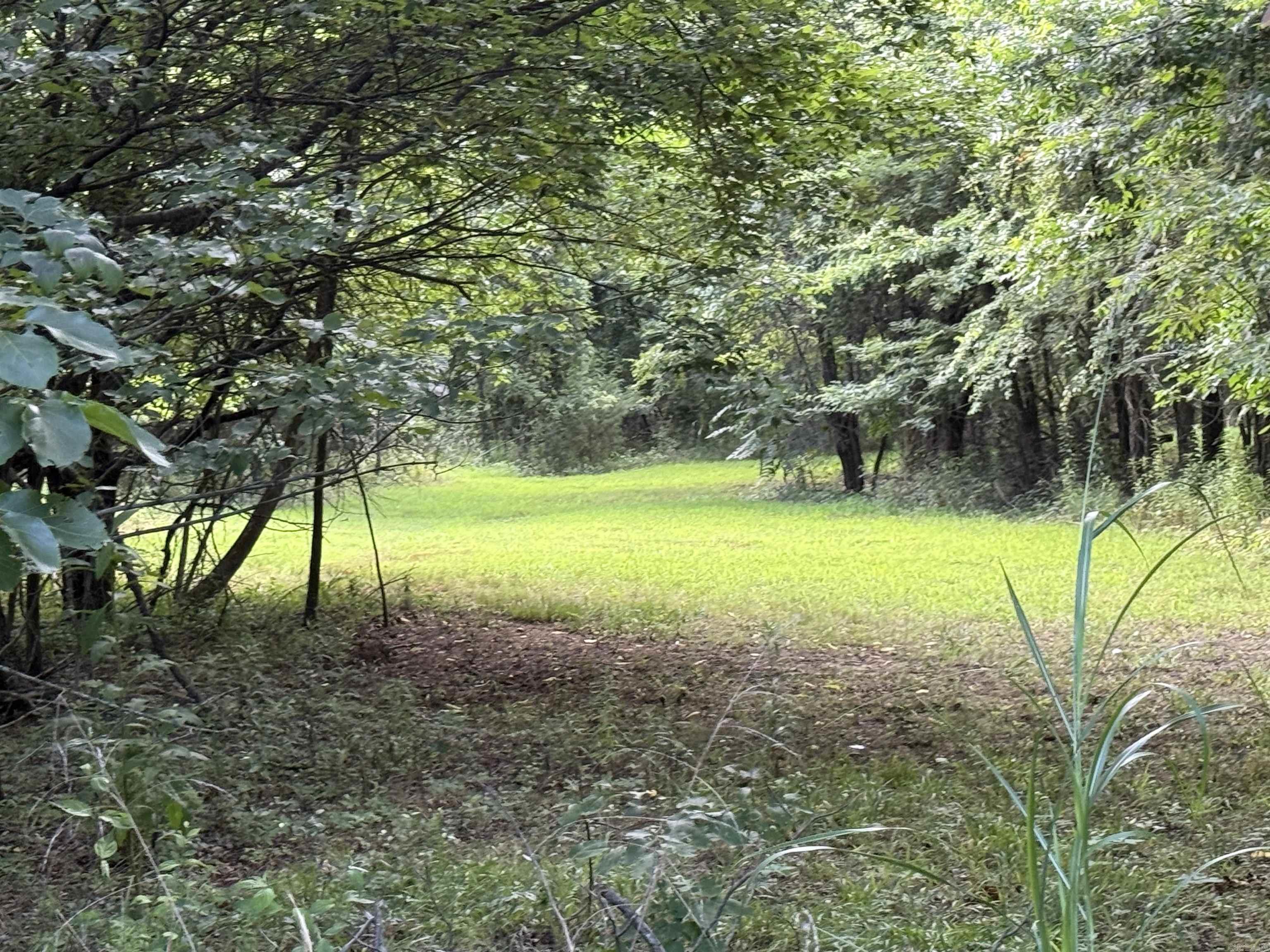 582 County Road 2291  Hartman, AR