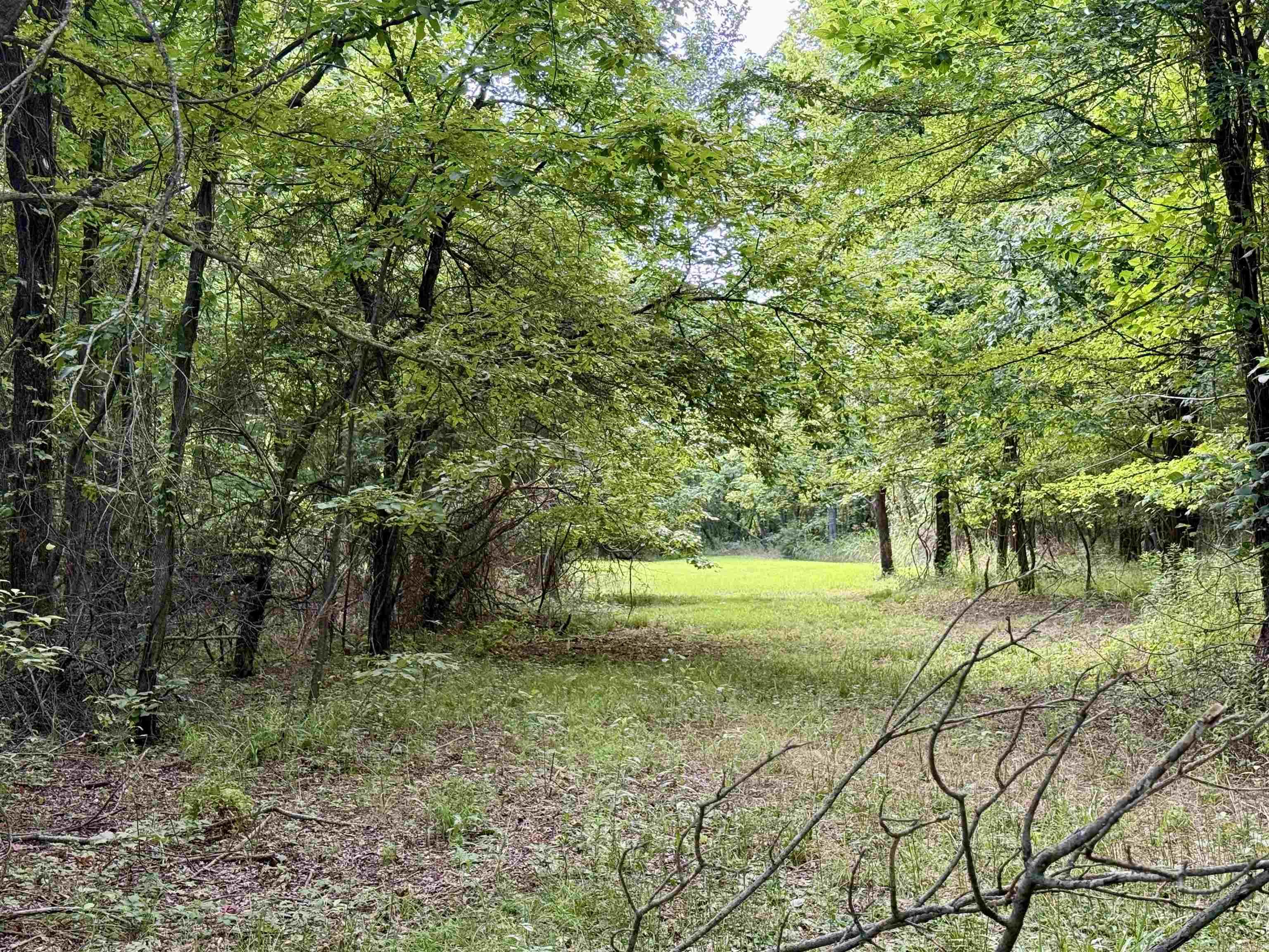 582 County Road 2291  Hartman, AR