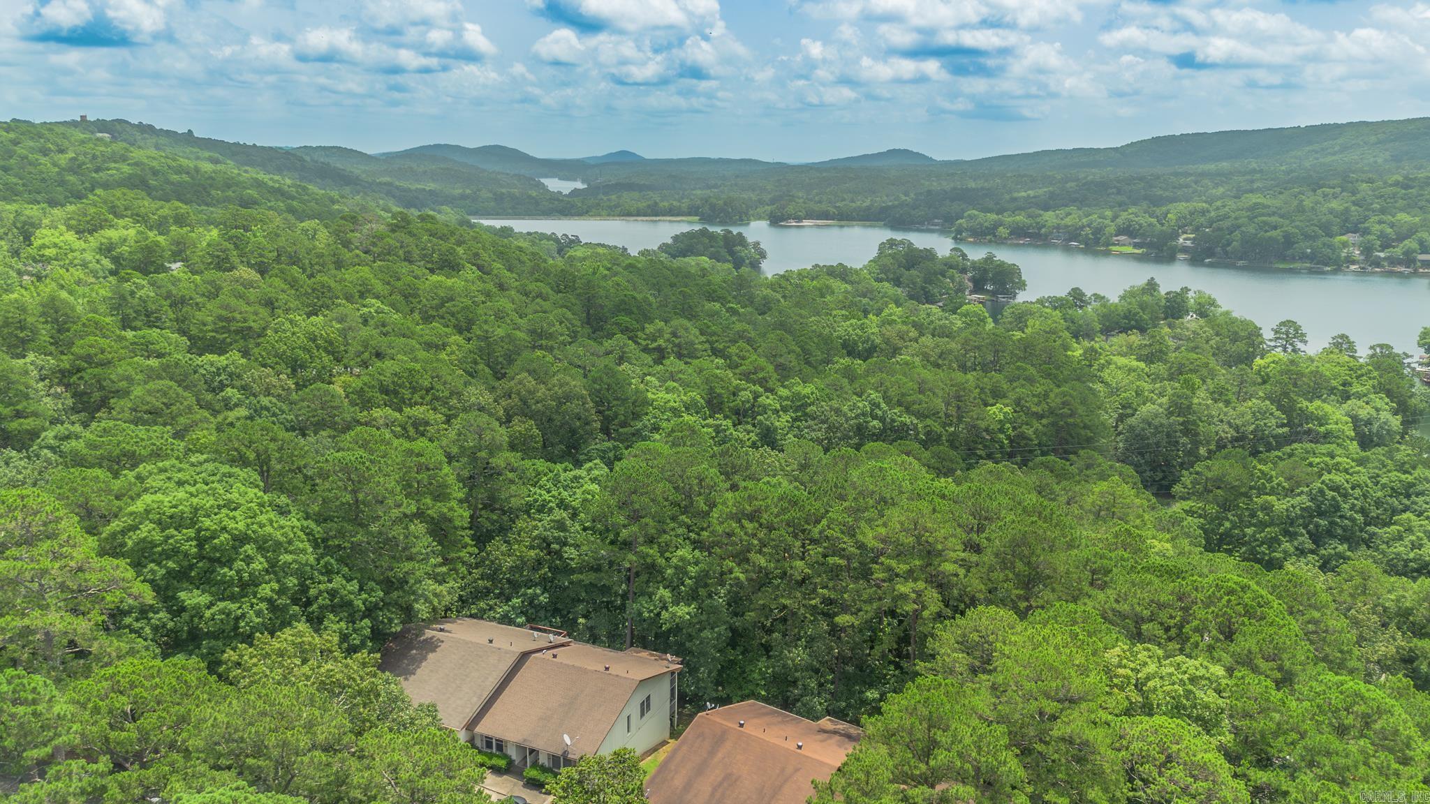 43 Halcon Place  Hot Springs Village, AR