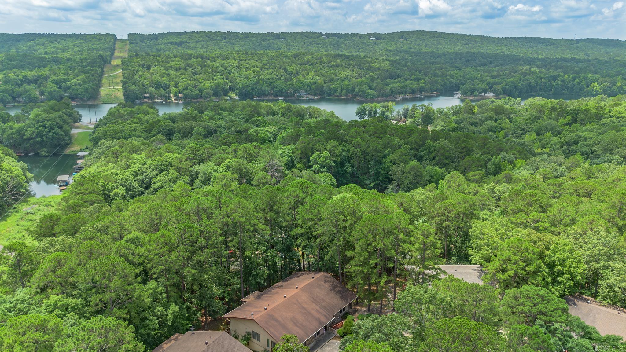 43 Halcon Place  Hot Springs Village, AR