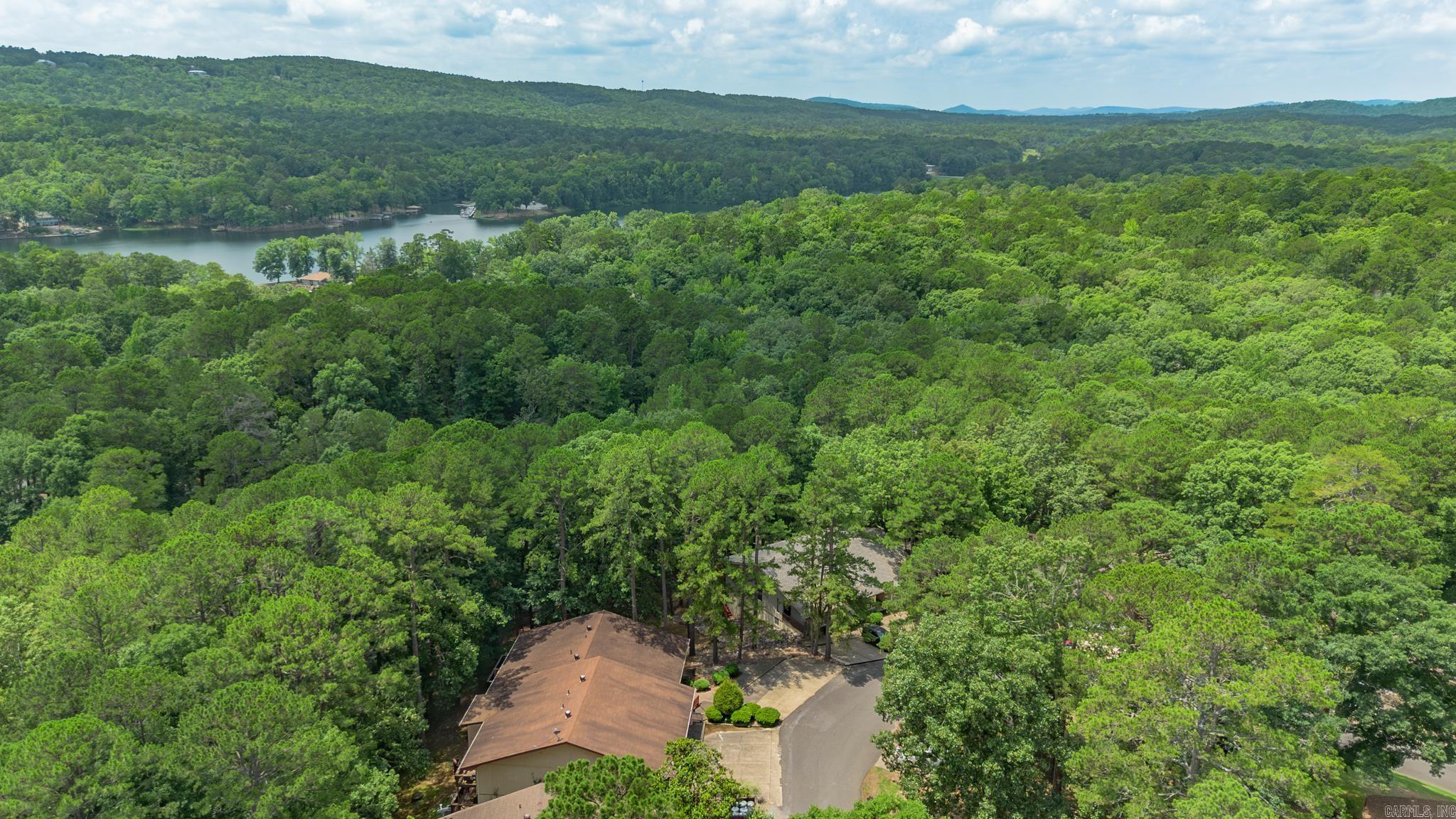 43 Halcon Place  Hot Springs Village, AR
