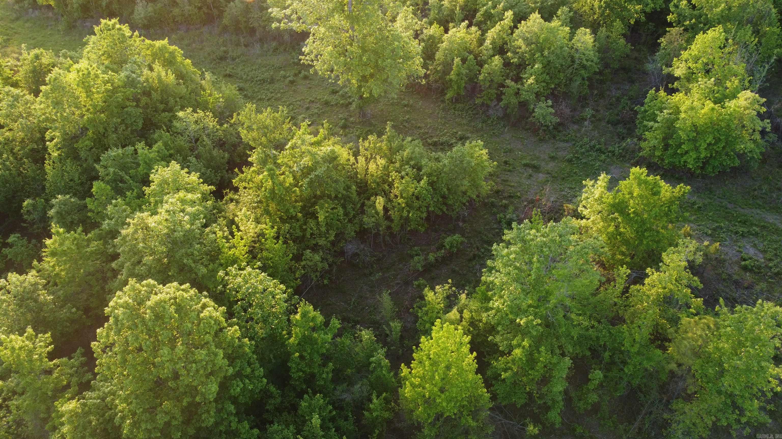 259-291 E CR-18E  Warren, AR