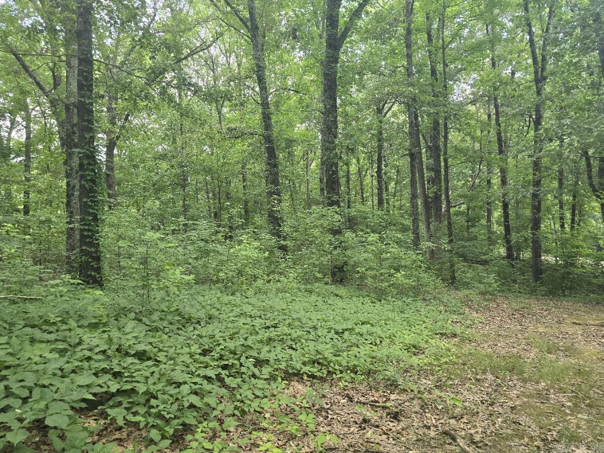 468 County Road 320  Jonesboro, AR