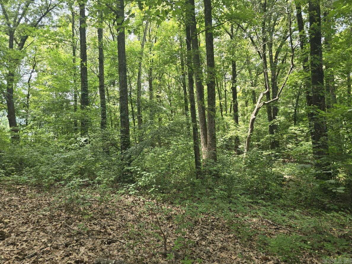 468 County Road 320  Jonesboro, AR