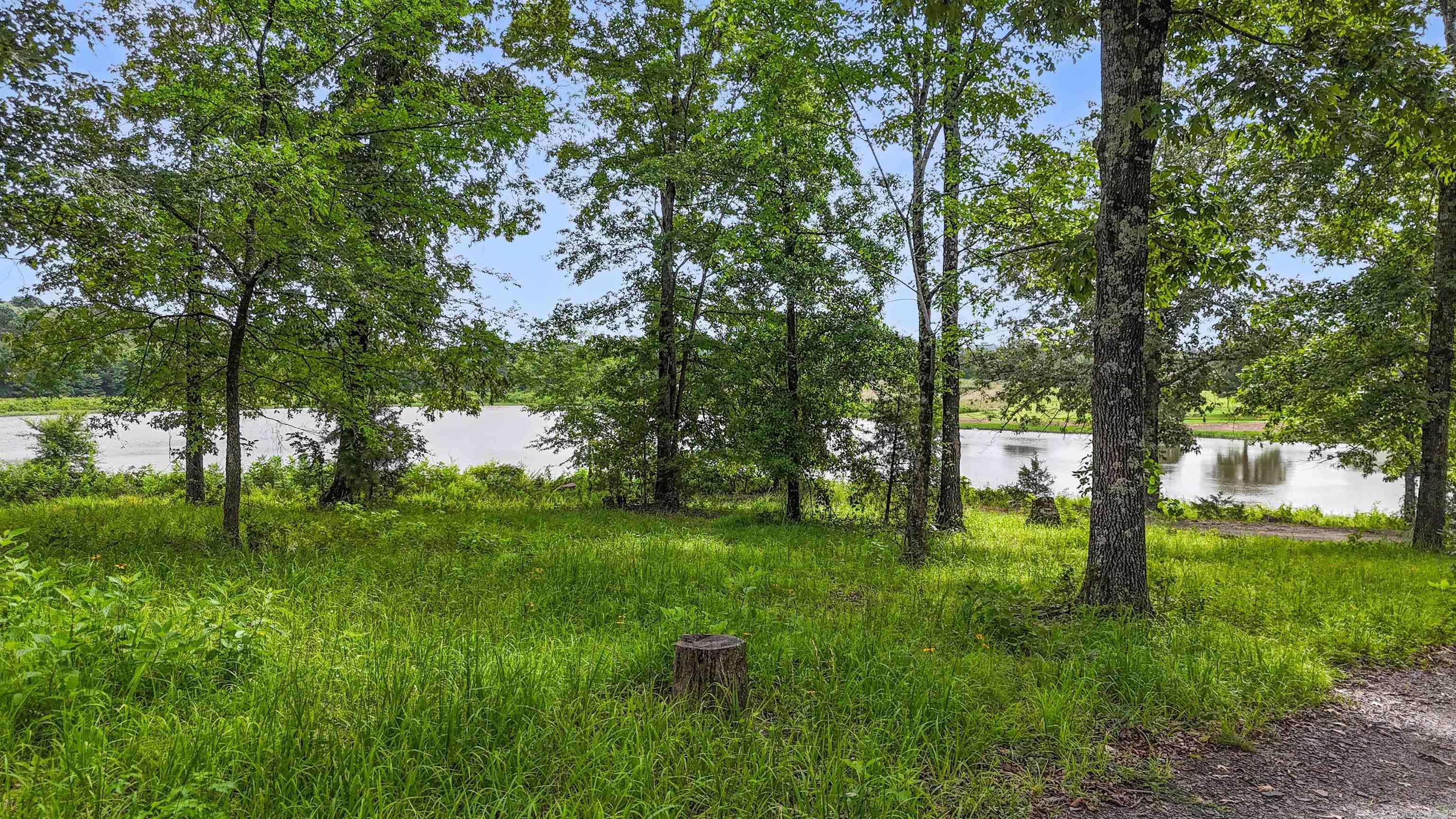 1342 PONDEROSA  Bismarck, AR