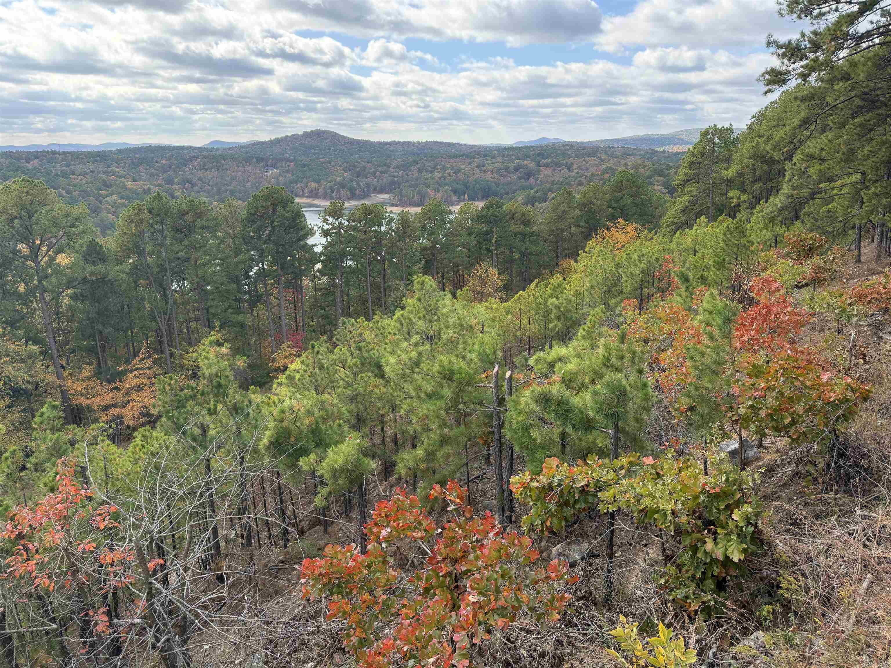 Village Lookout