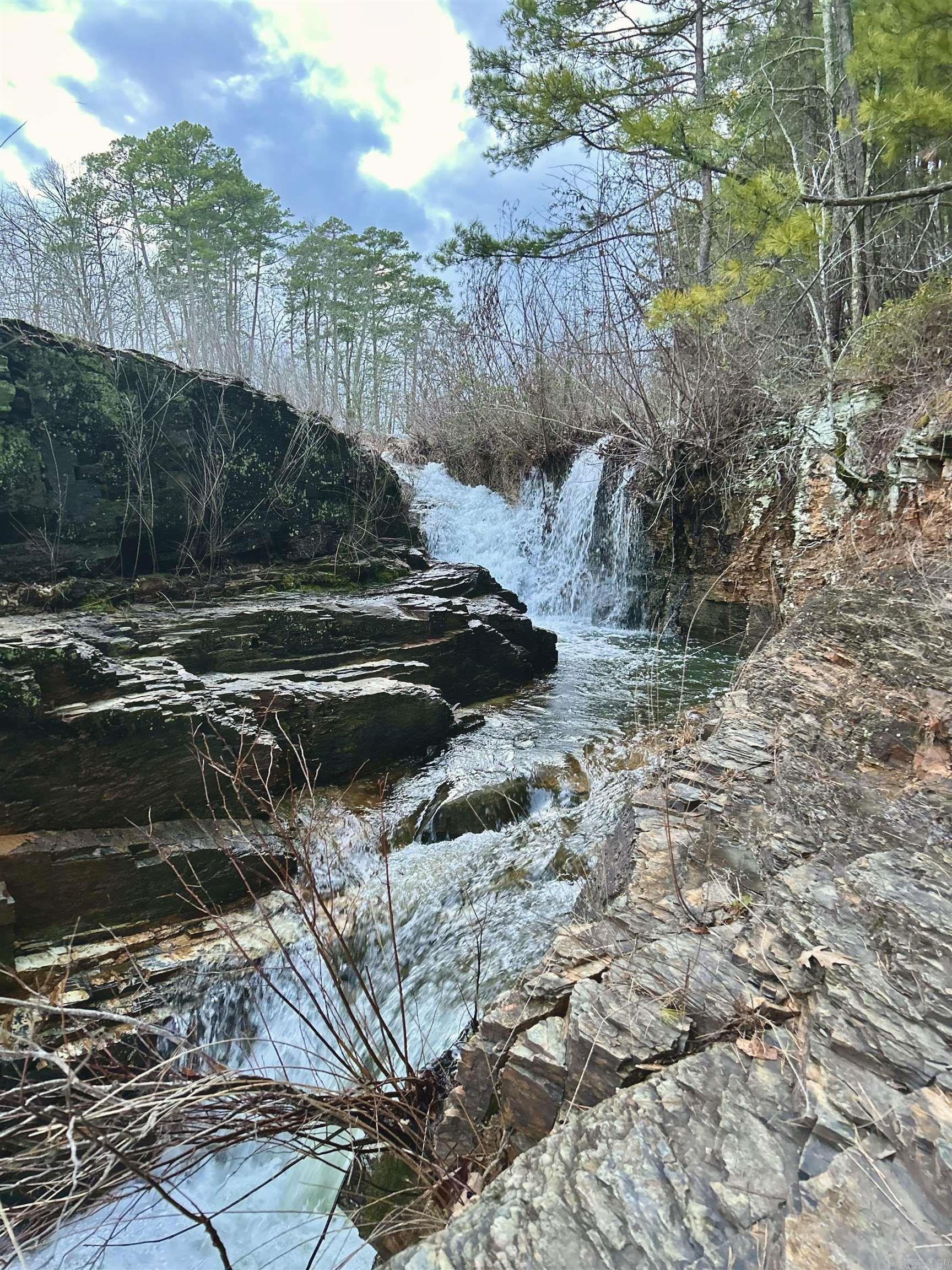 Nature at it's Finest