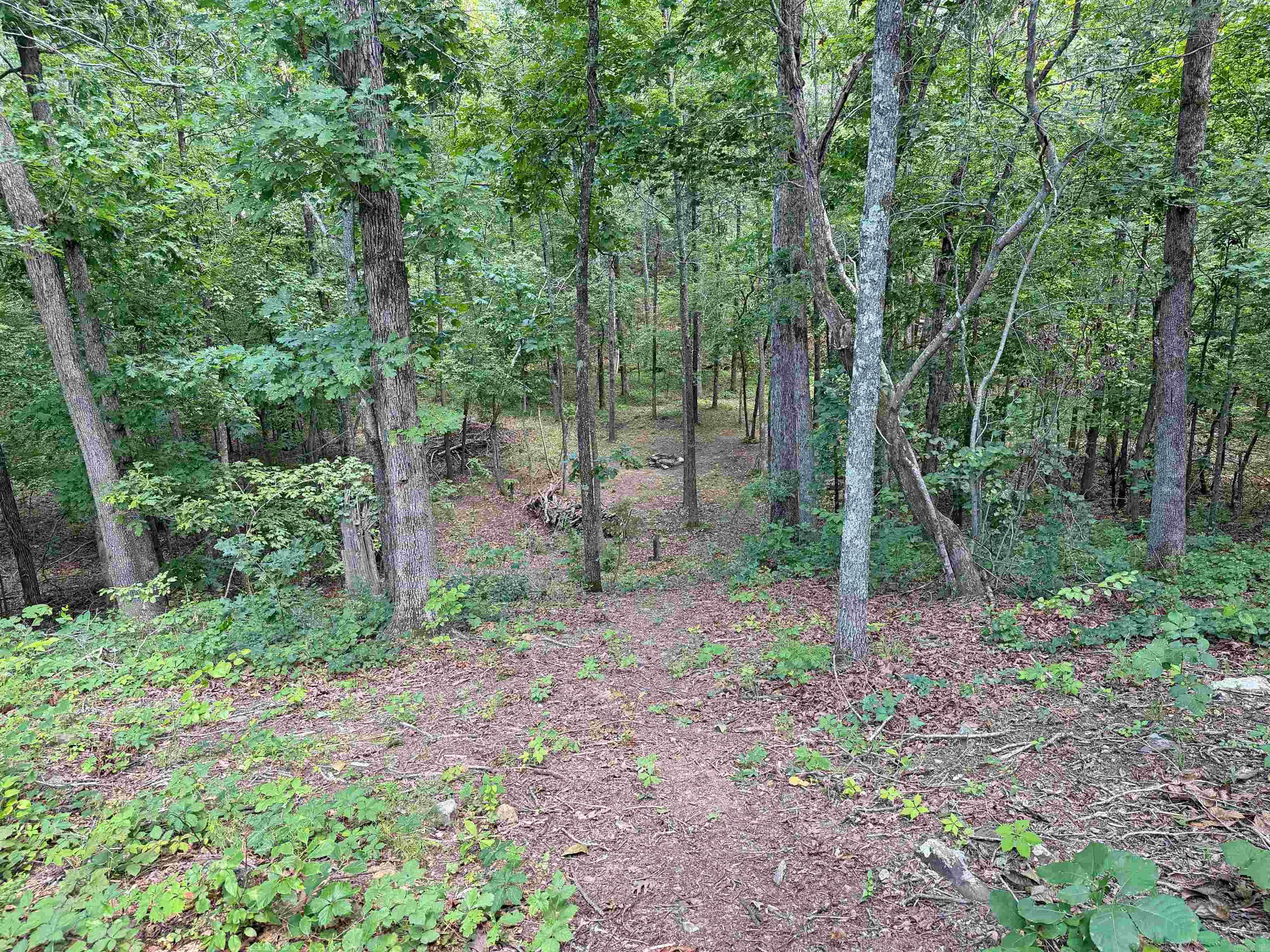 10257 S. Hwy 5  Mountain View, AR