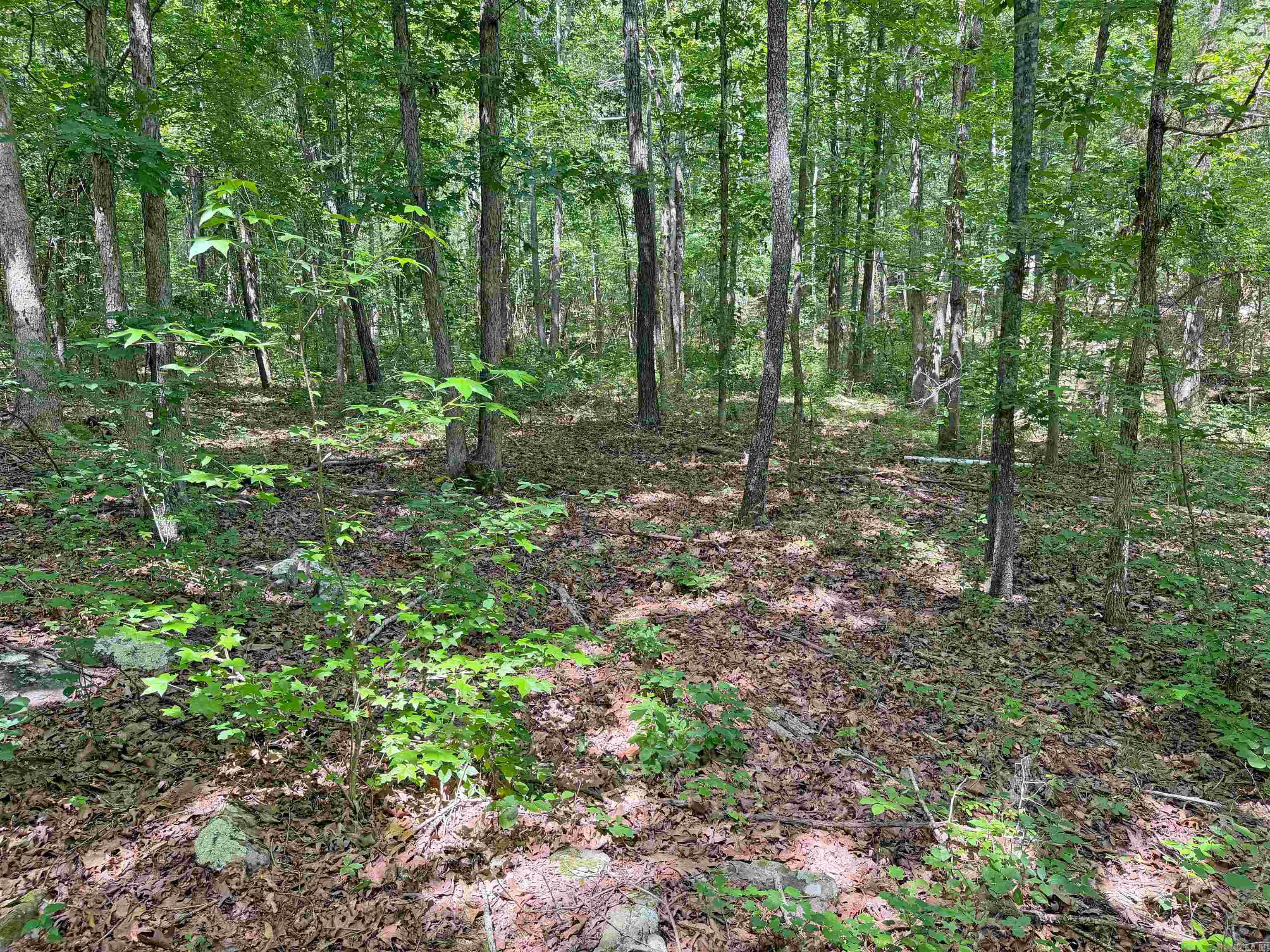 10257 S. Hwy 5  Mountain View, AR