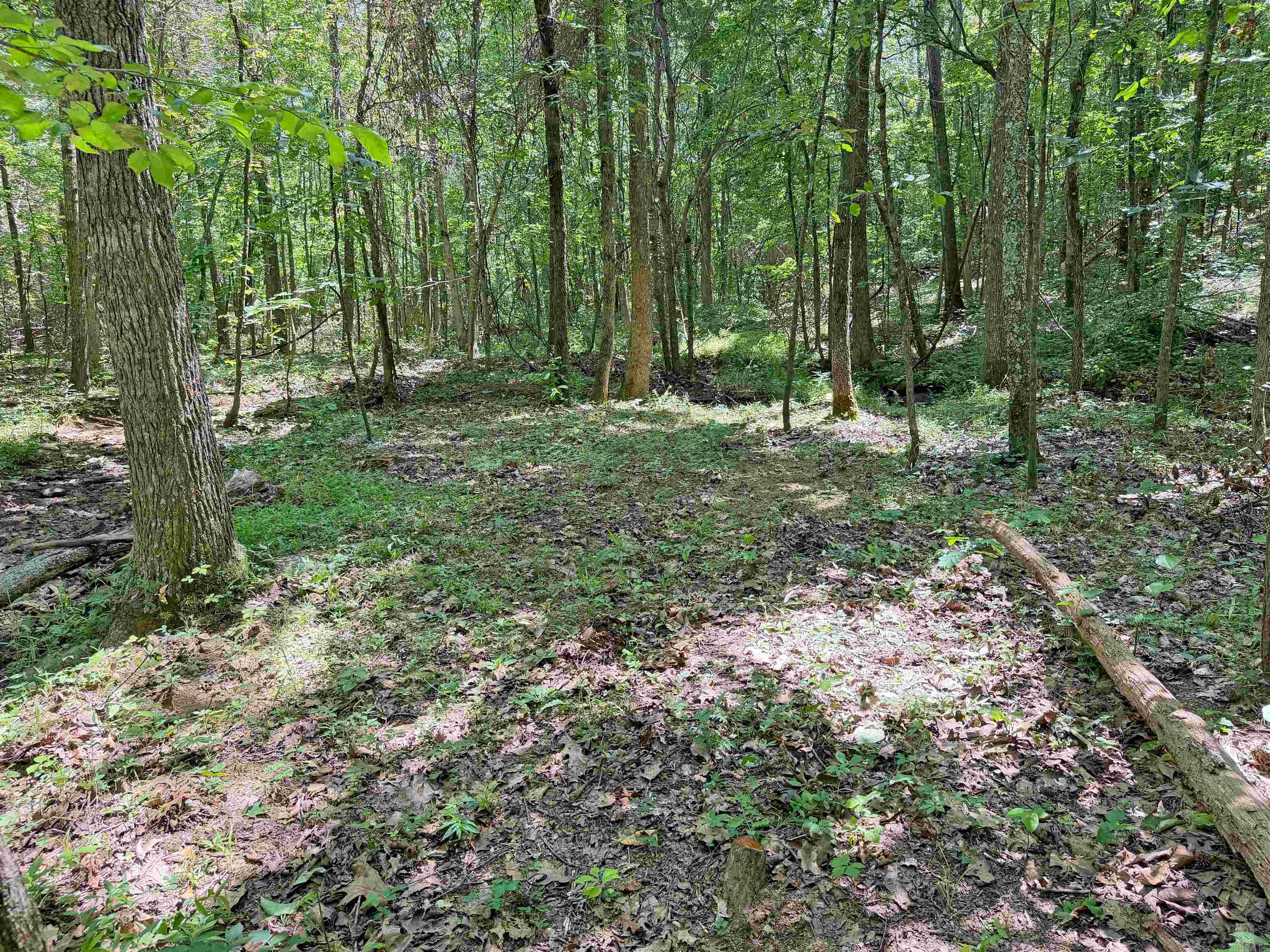 10257 S. Hwy 5  Mountain View, AR