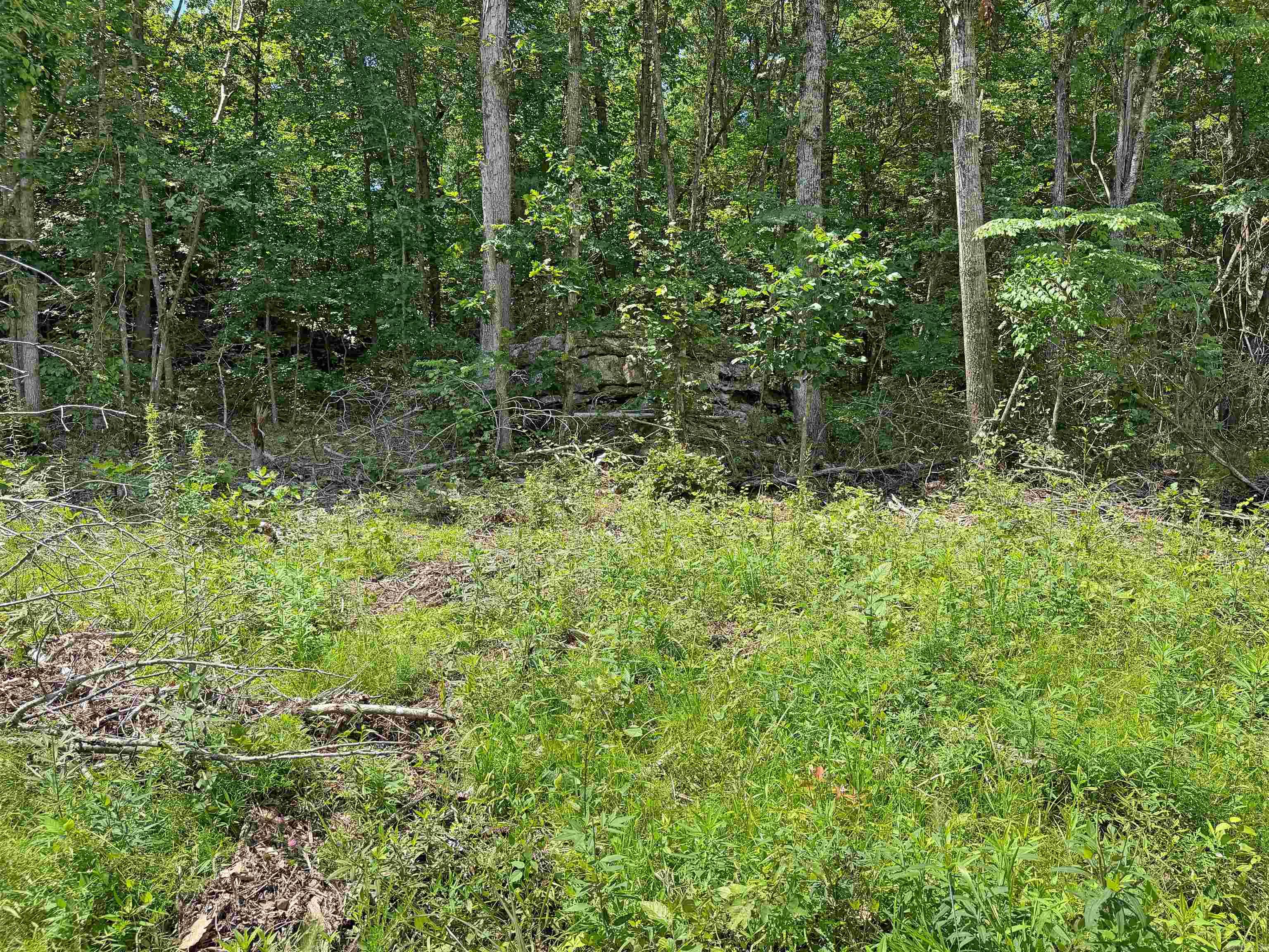 10257 S. Hwy 5  Mountain View, AR