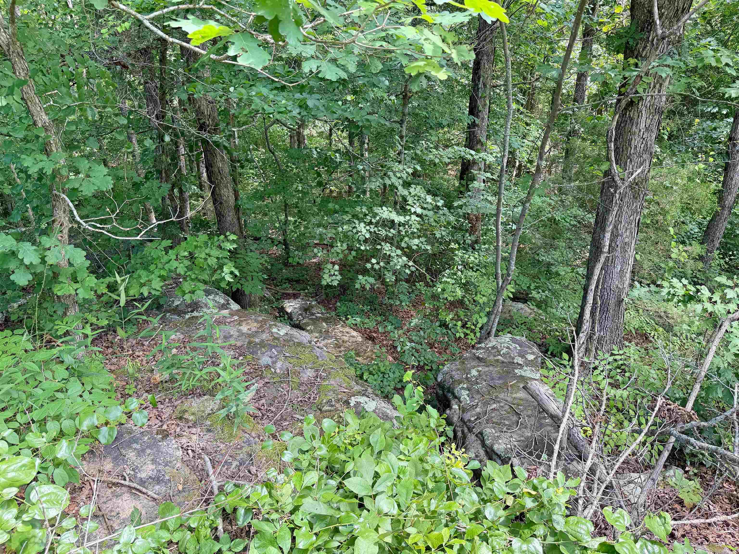 10257 S. Hwy 5  Mountain View, AR