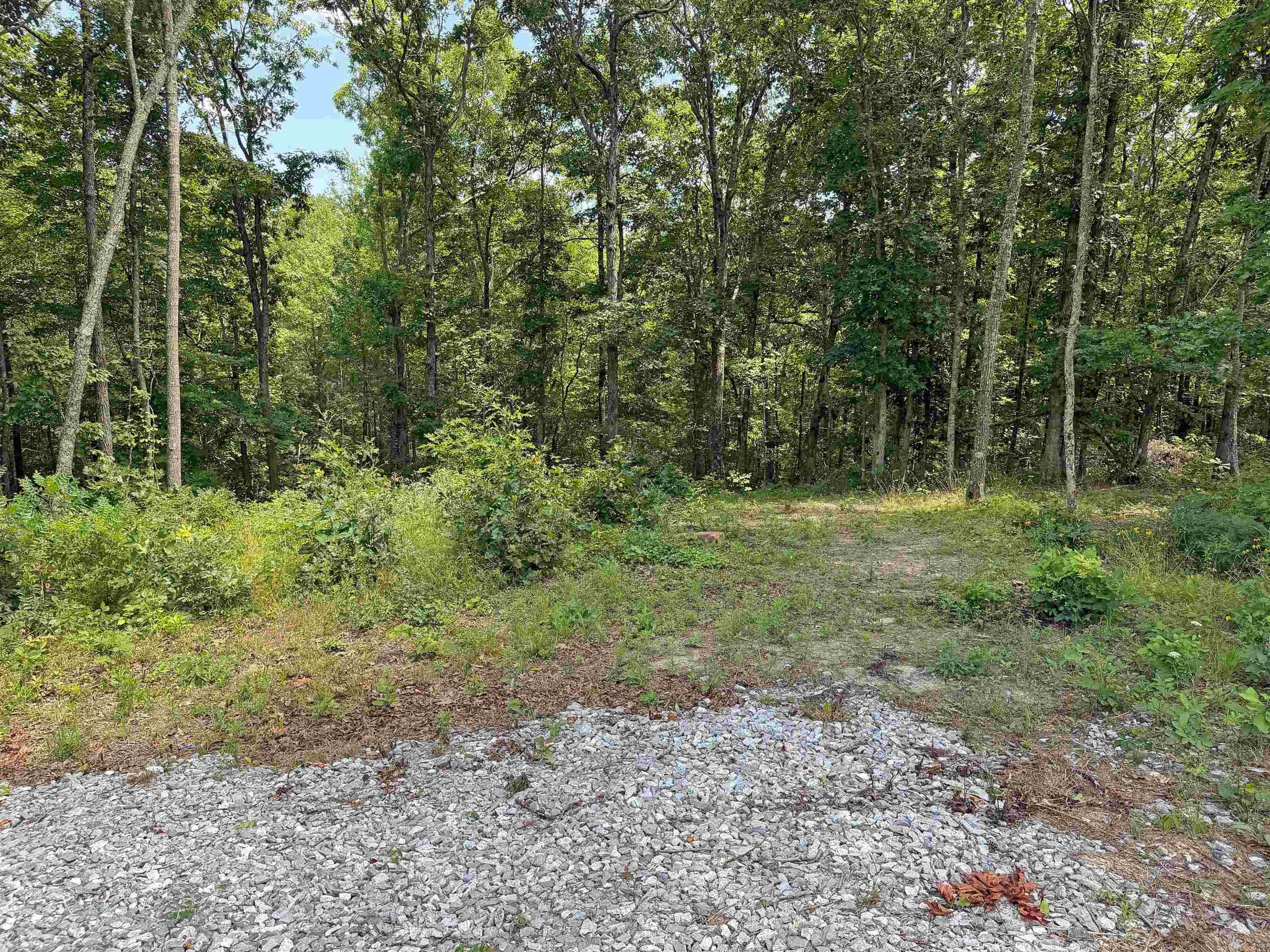 10257 S. Hwy 5  Mountain View, AR