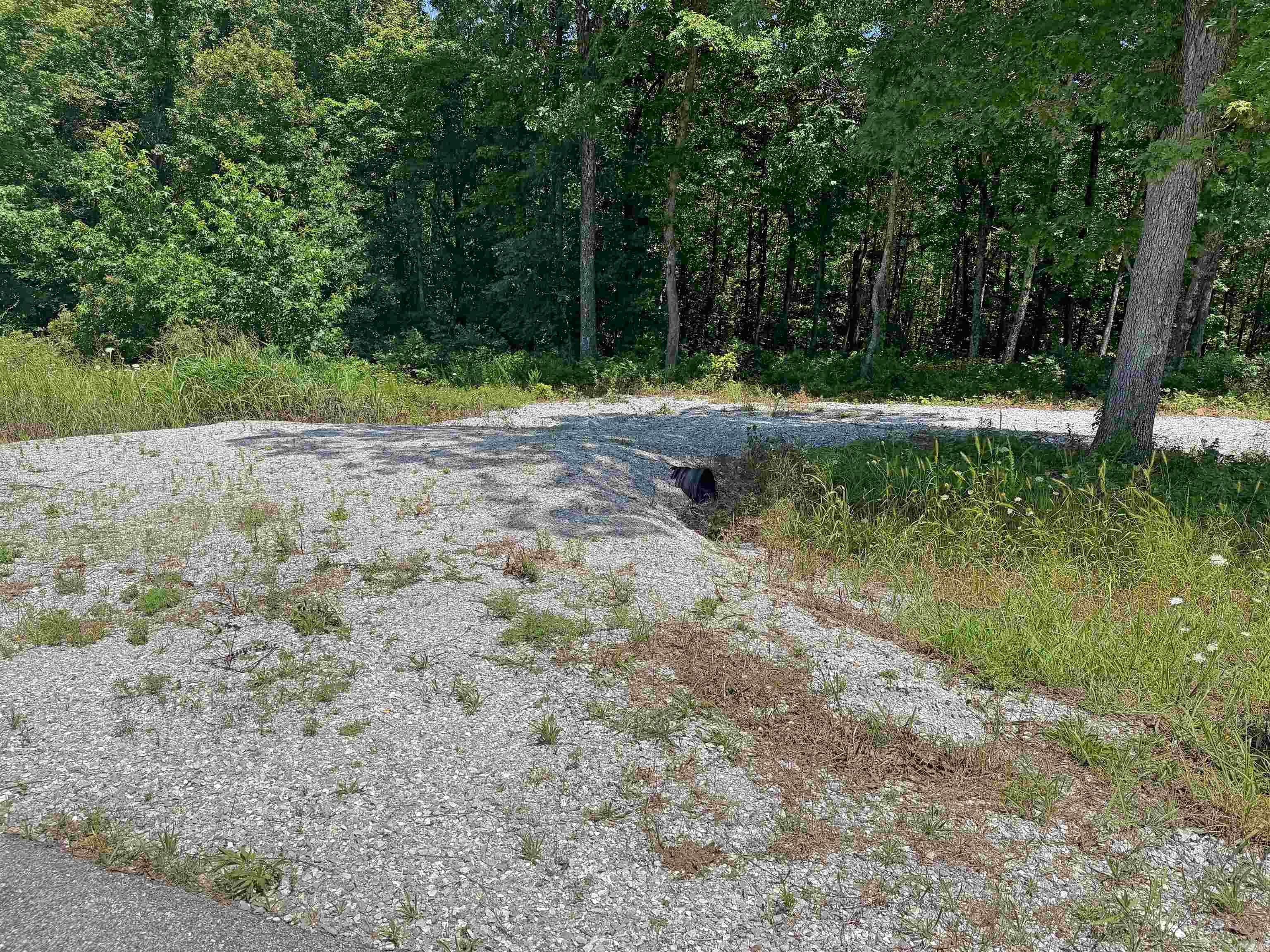 10257 S. Hwy 5  Mountain View, AR