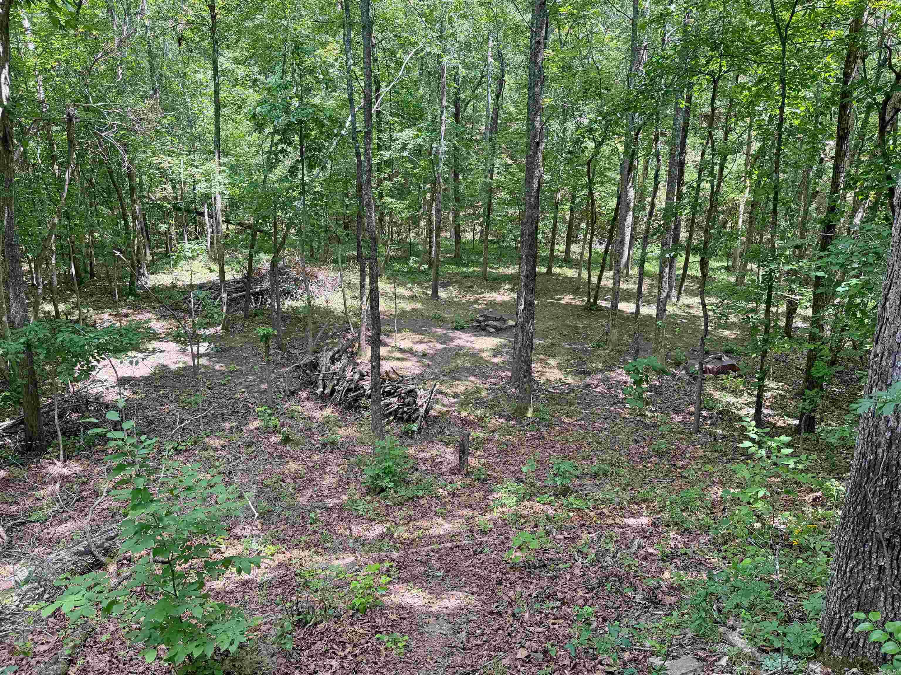 10257 S. Hwy 5  Mountain View, AR