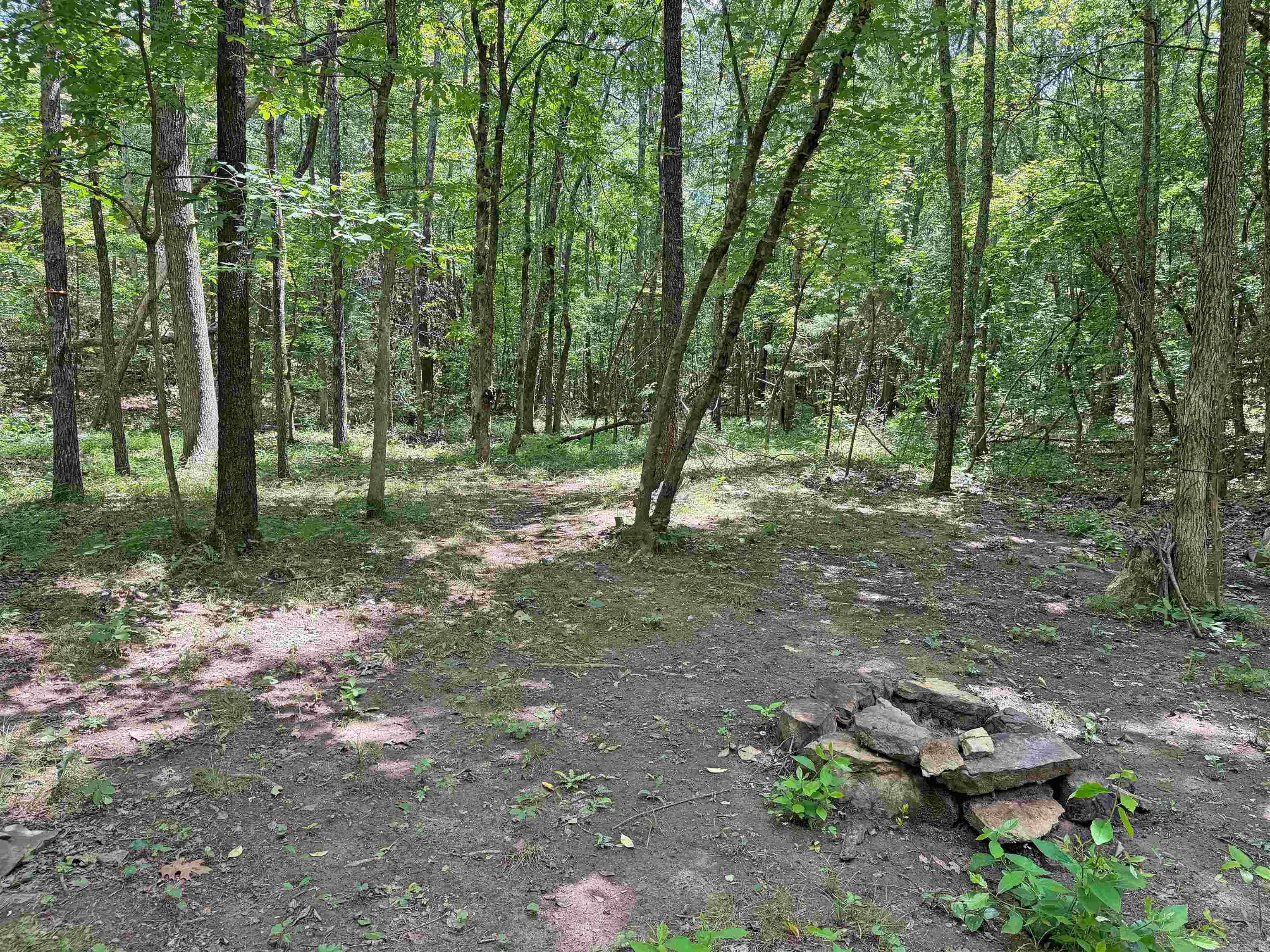 10257 S. Hwy 5  Mountain View, AR