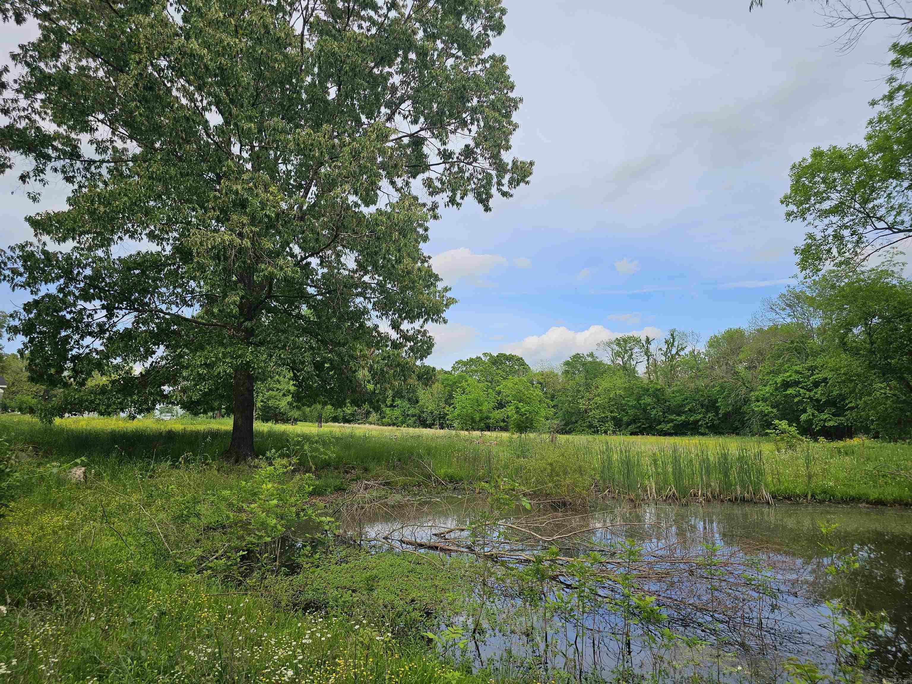 161 Funderburg  Mineral Sprs., AR
