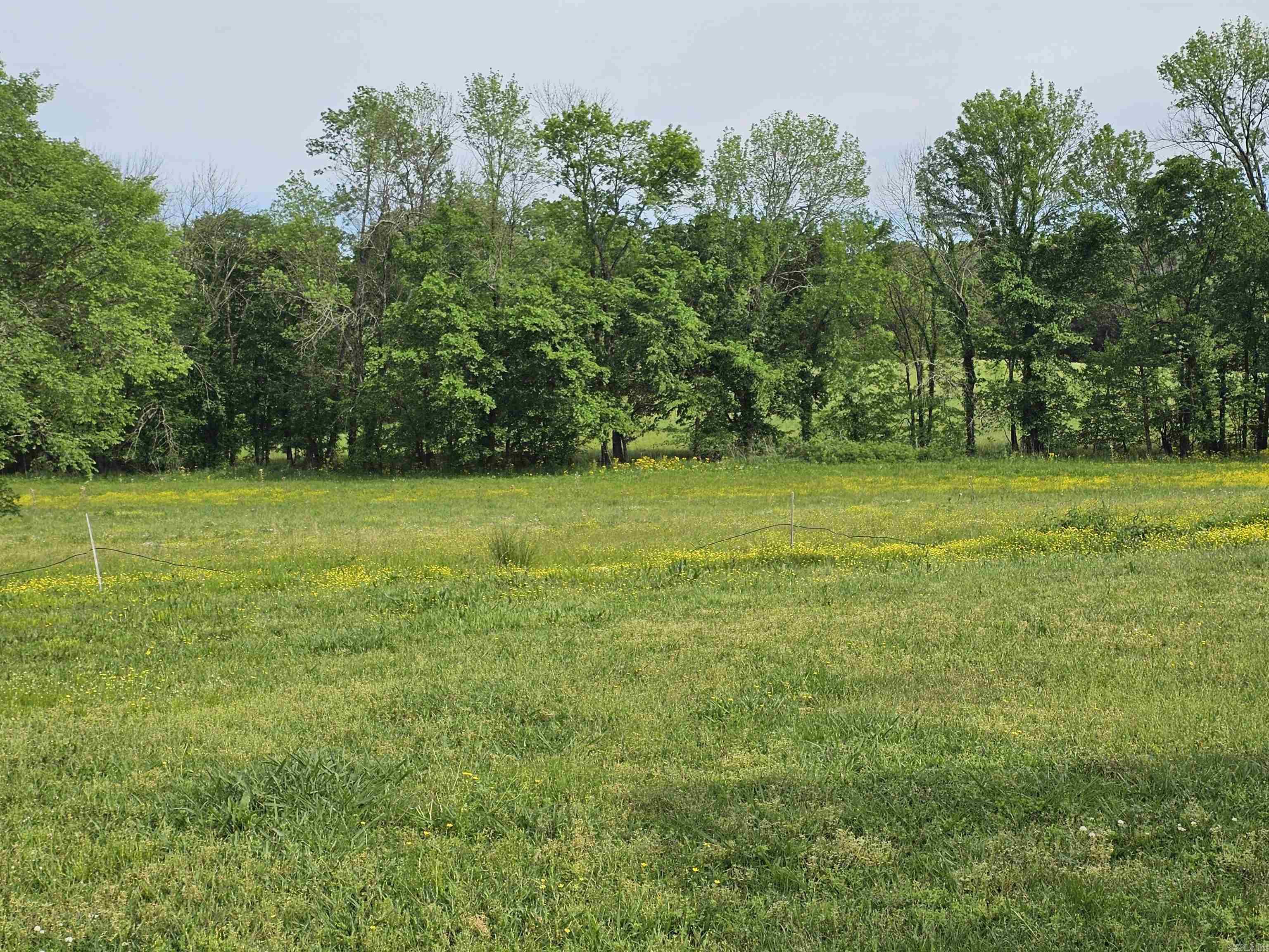 161 Funderburg  Mineral Sprs., AR