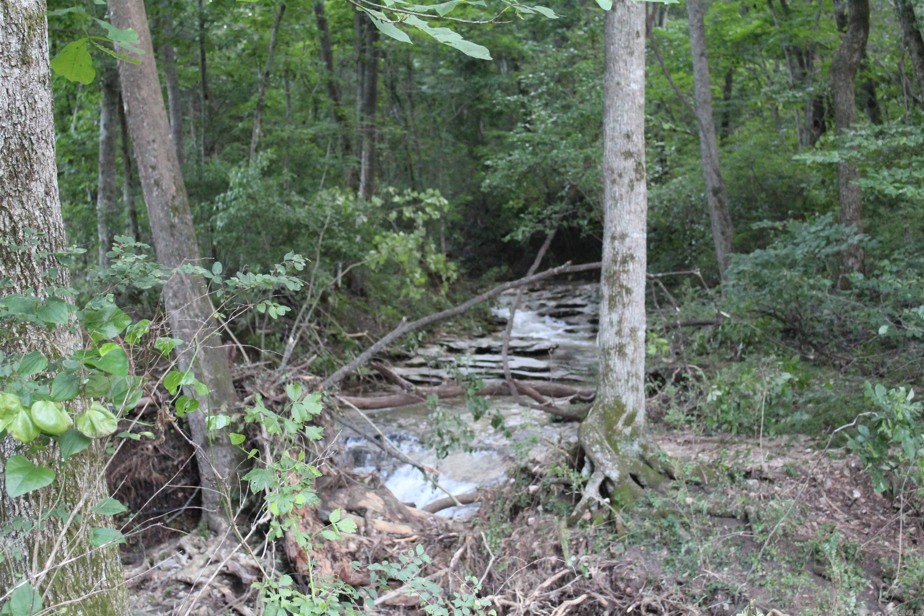 474 MC 4036  Yellville, AR