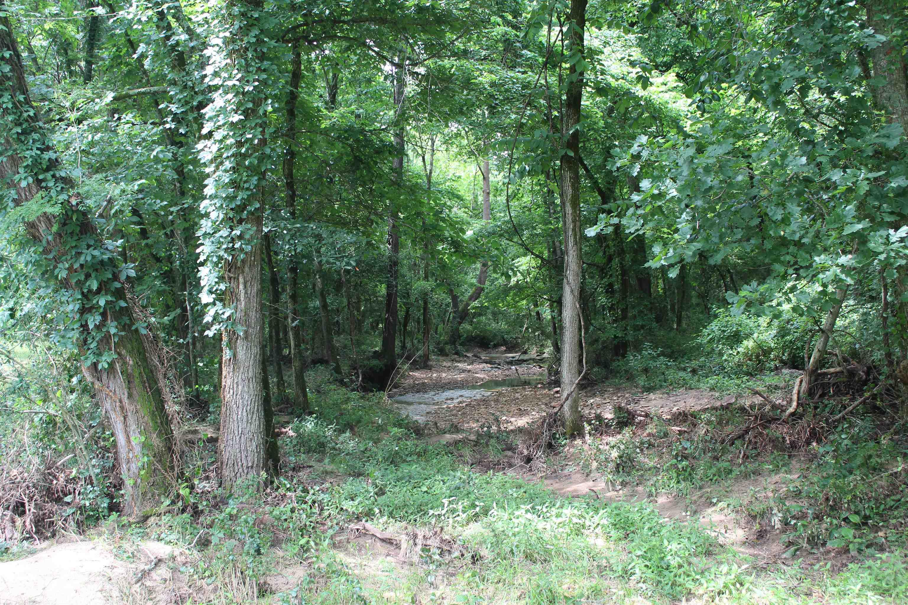 474 MC 4036  Yellville, AR