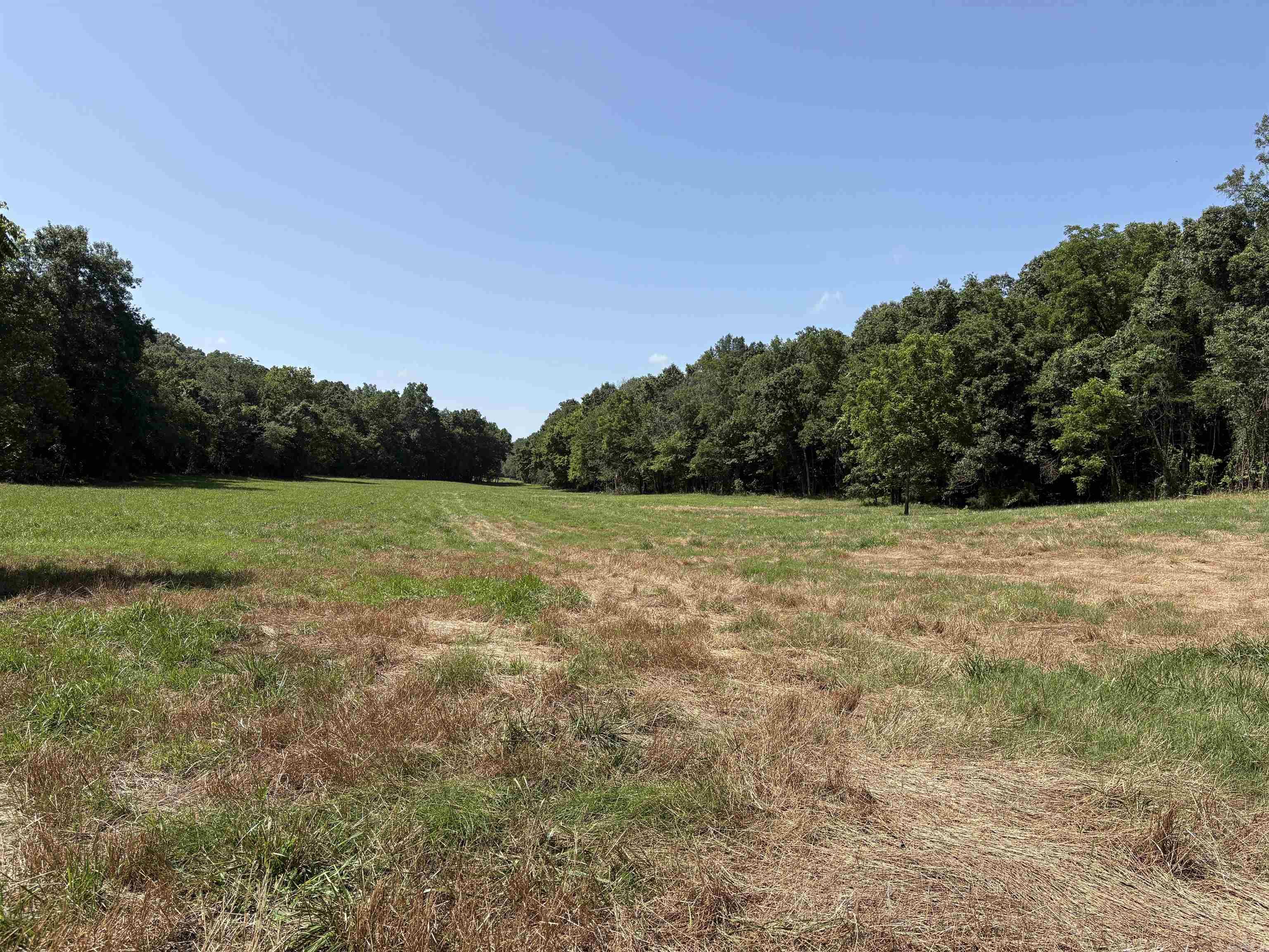 474 MC 4036  Yellville, AR