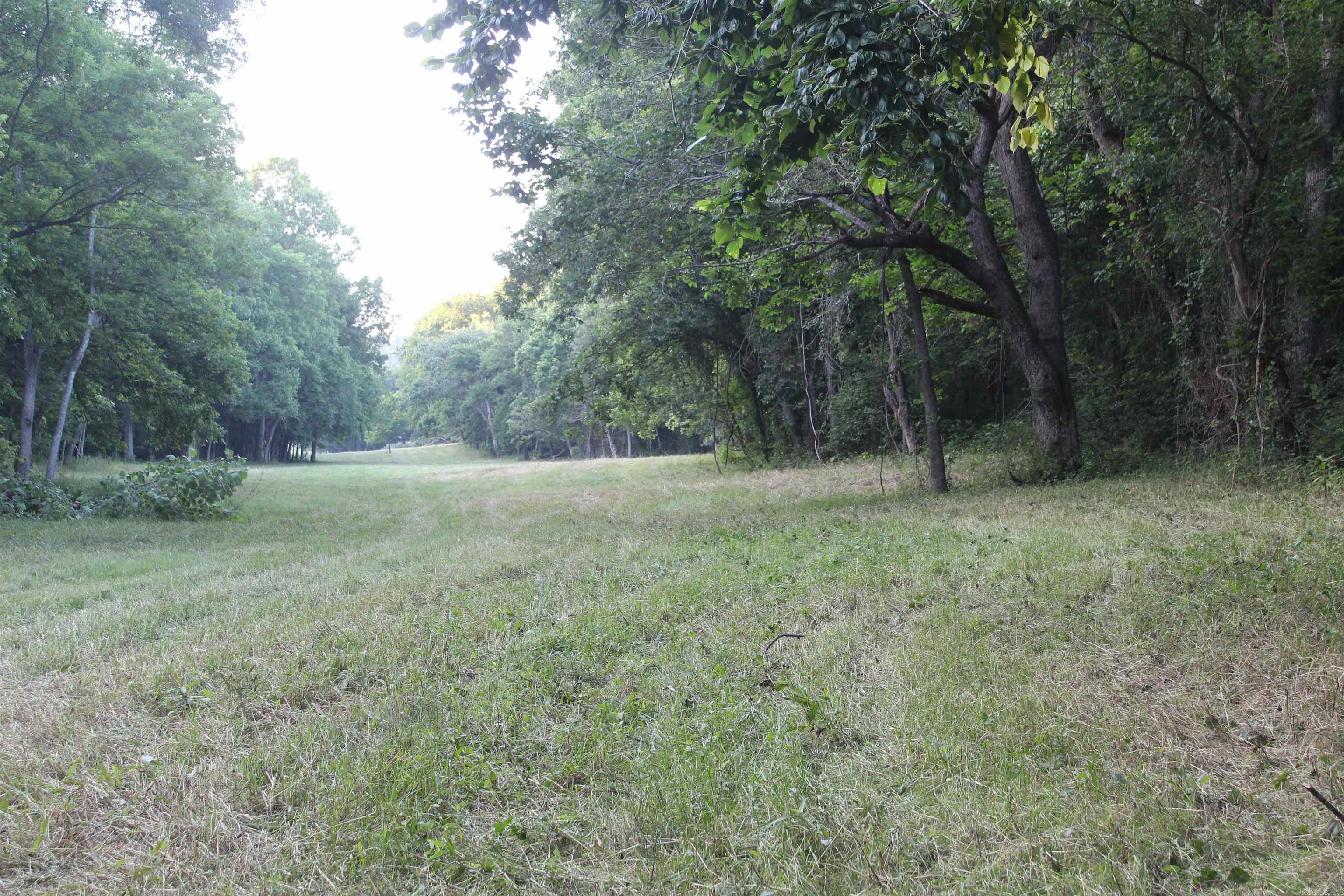 474 MC 4036  Yellville, AR