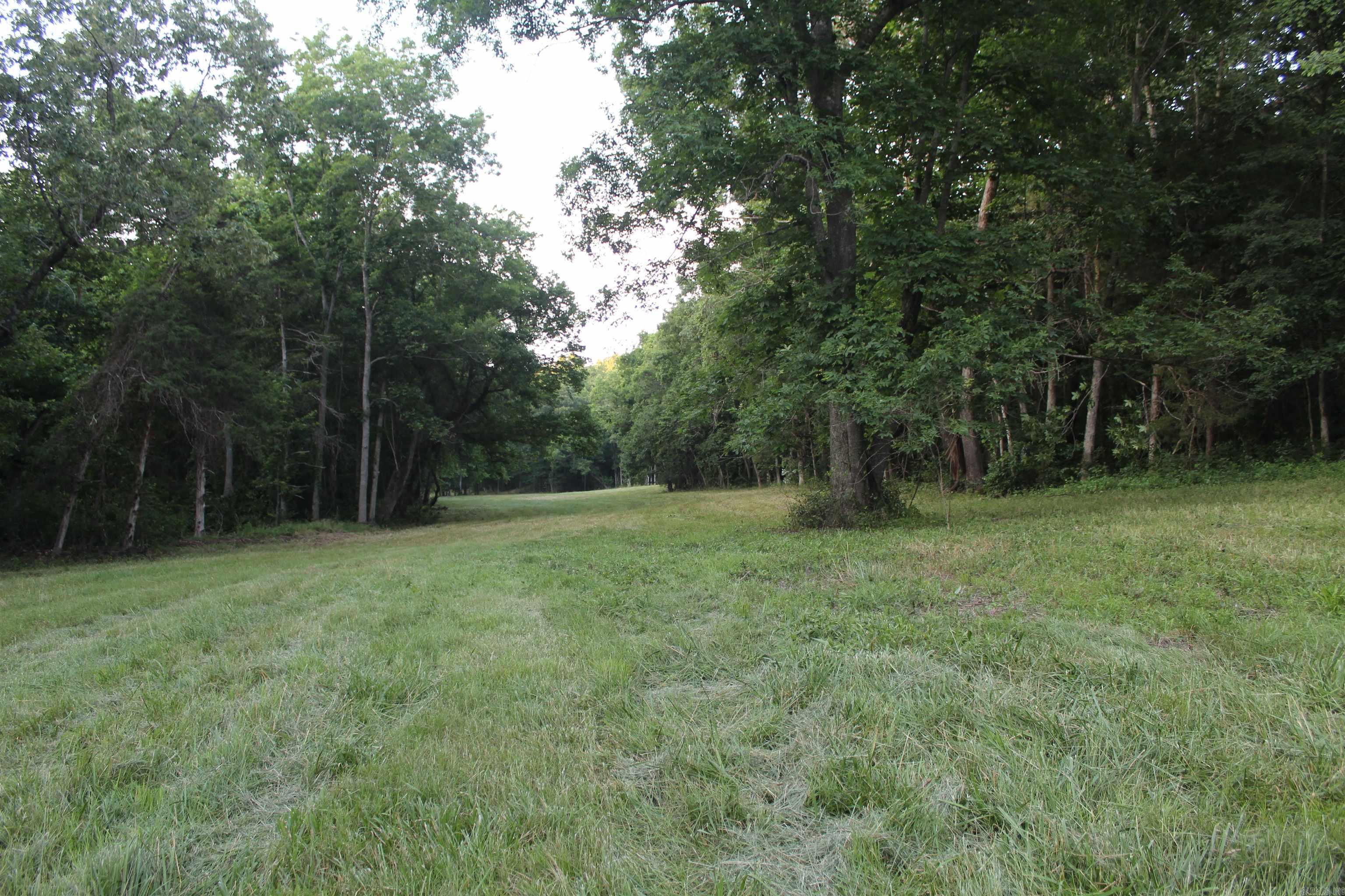 474 MC 4036  Yellville, AR