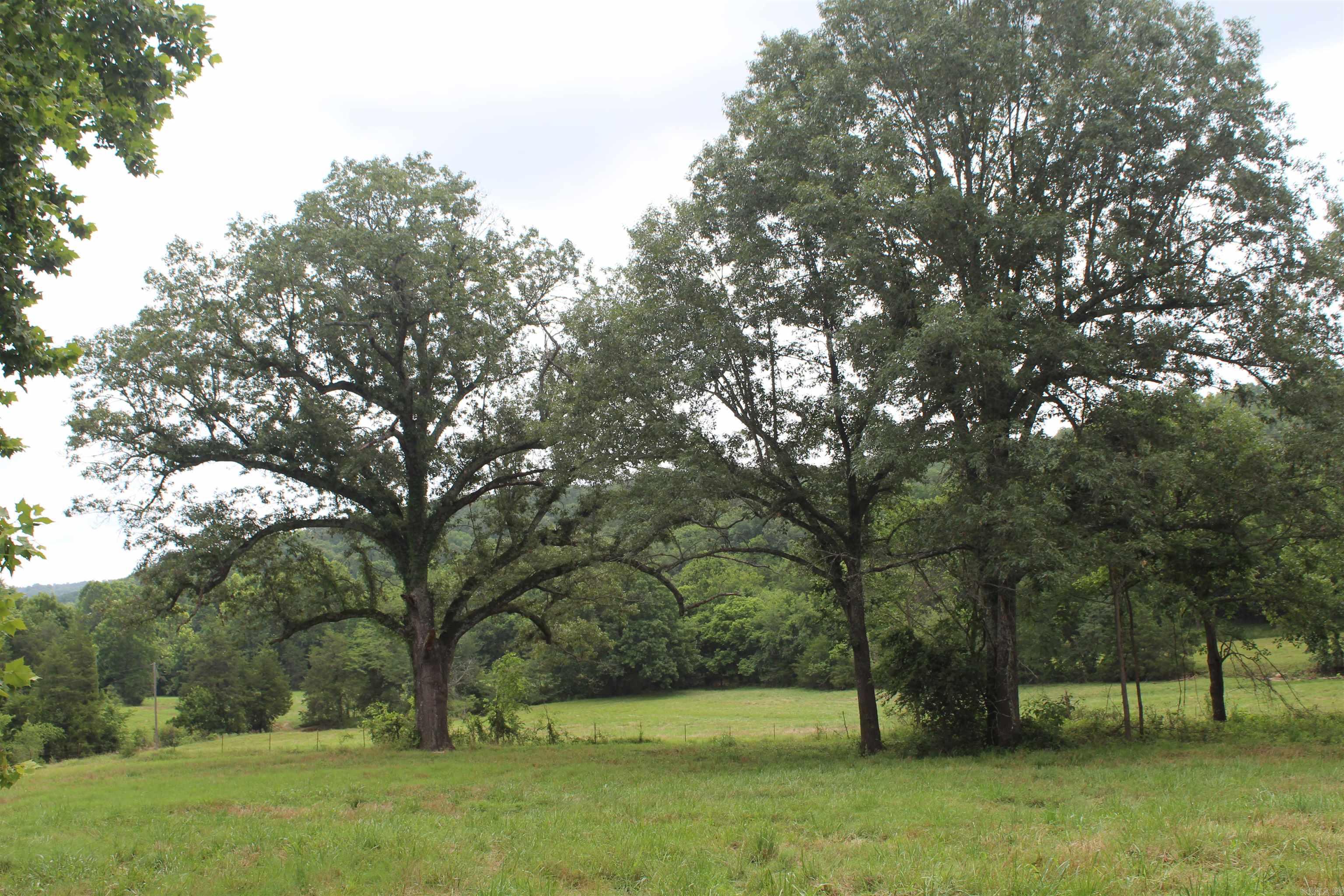 474 MC 4036  Yellville, AR