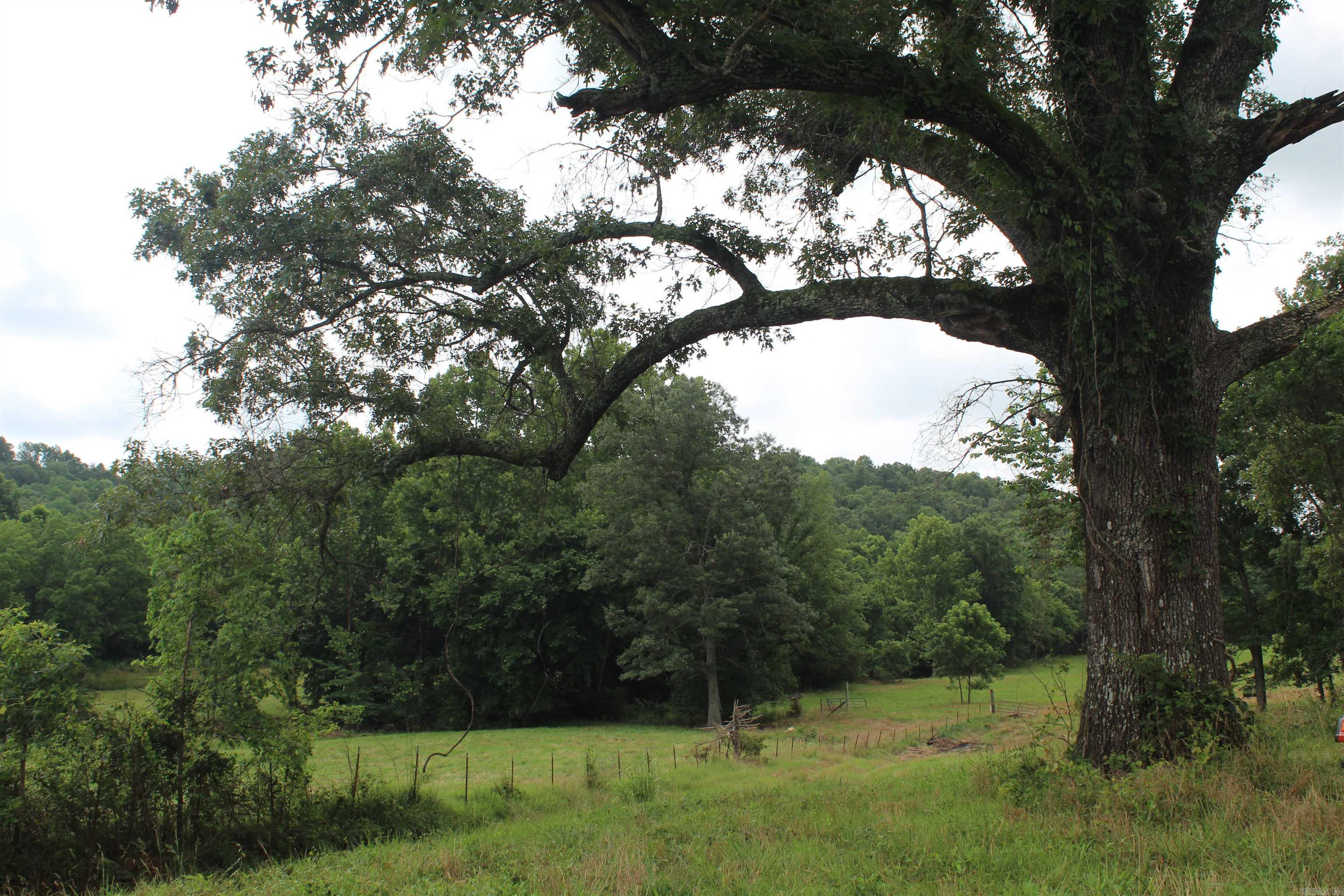 474 MC 4036  Yellville, AR