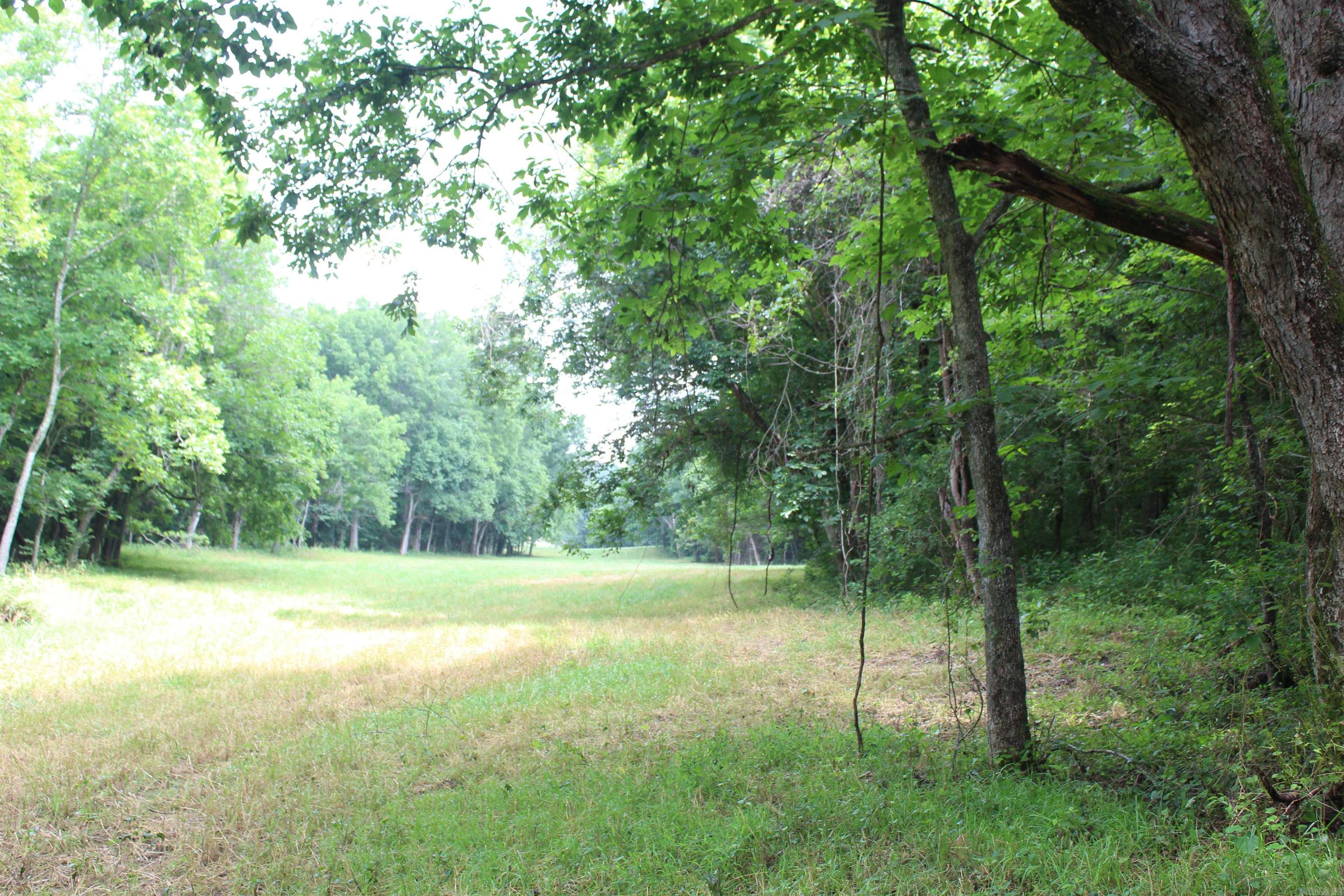 474 MC 4036  Yellville, AR