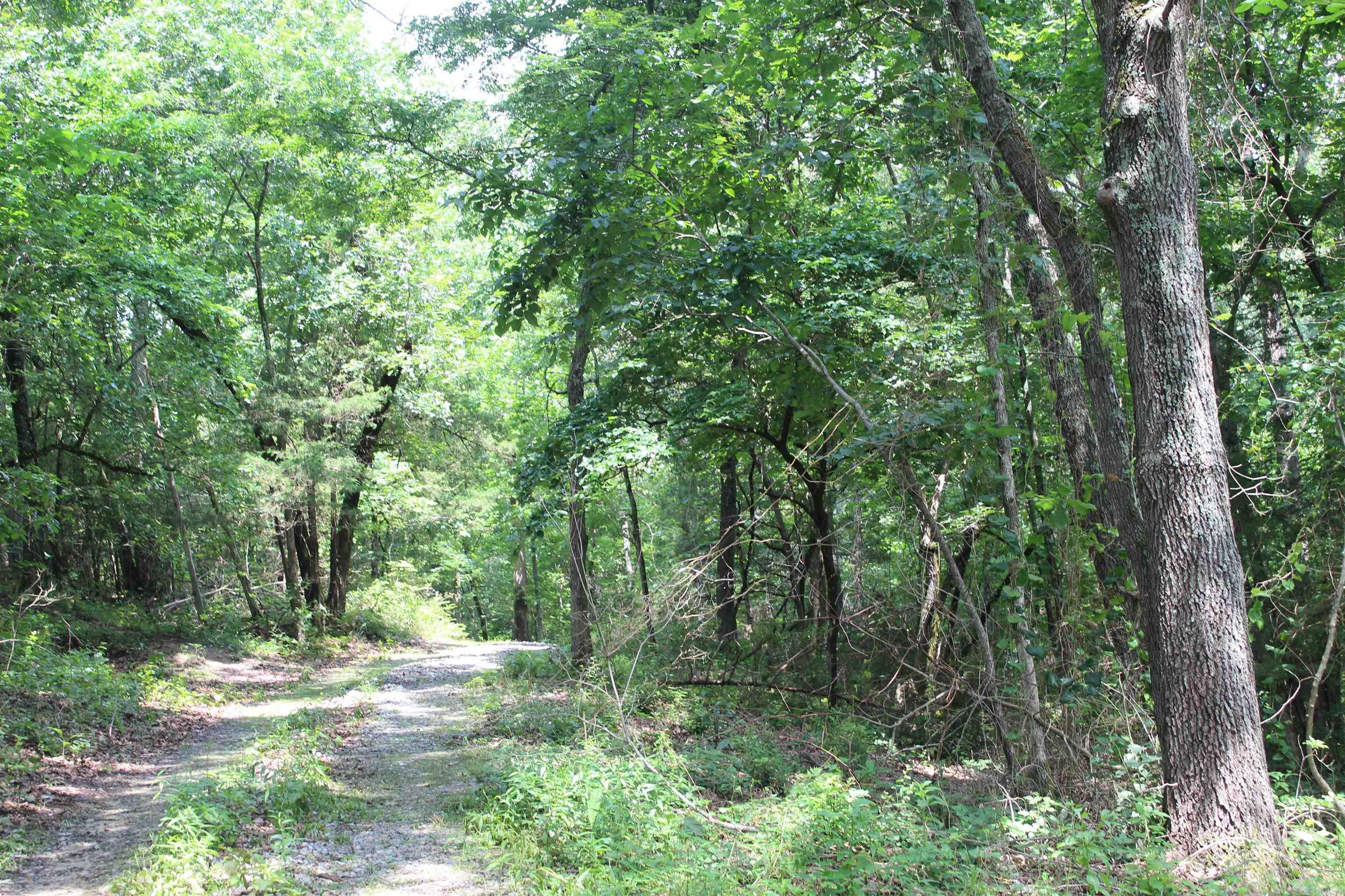 474 MC 4036  Yellville, AR